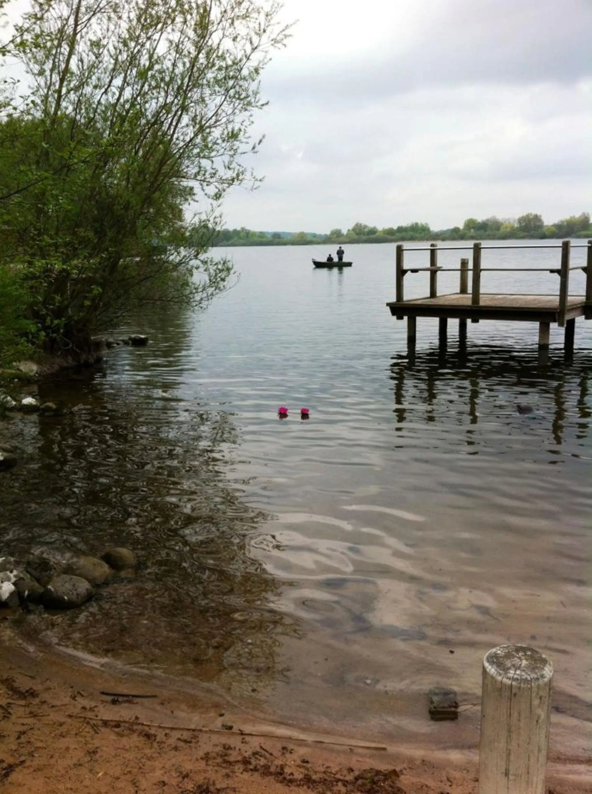 Garden in Hotel Seeufer