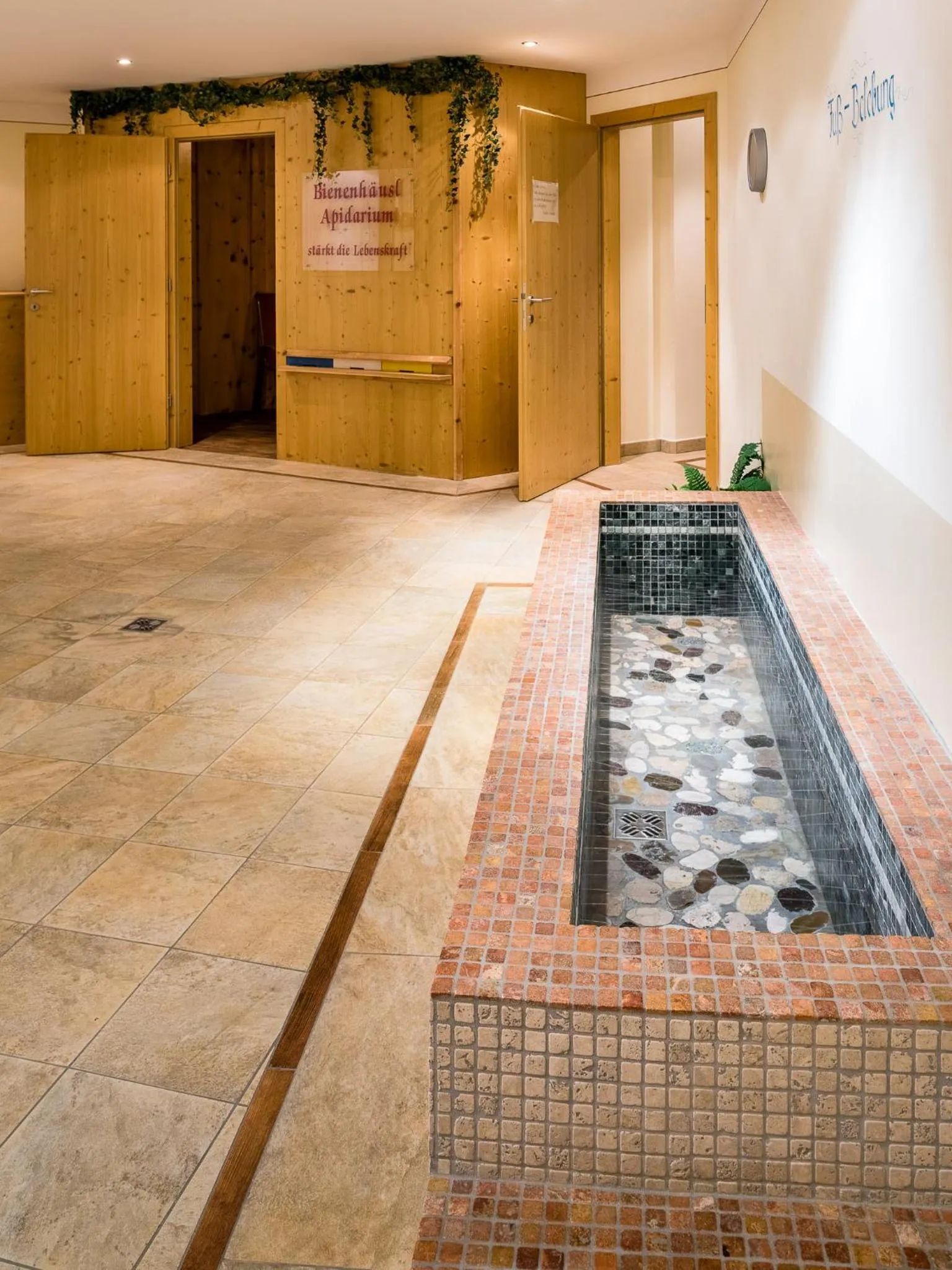 Spa and wellness centre/facilities in Hotel Forer