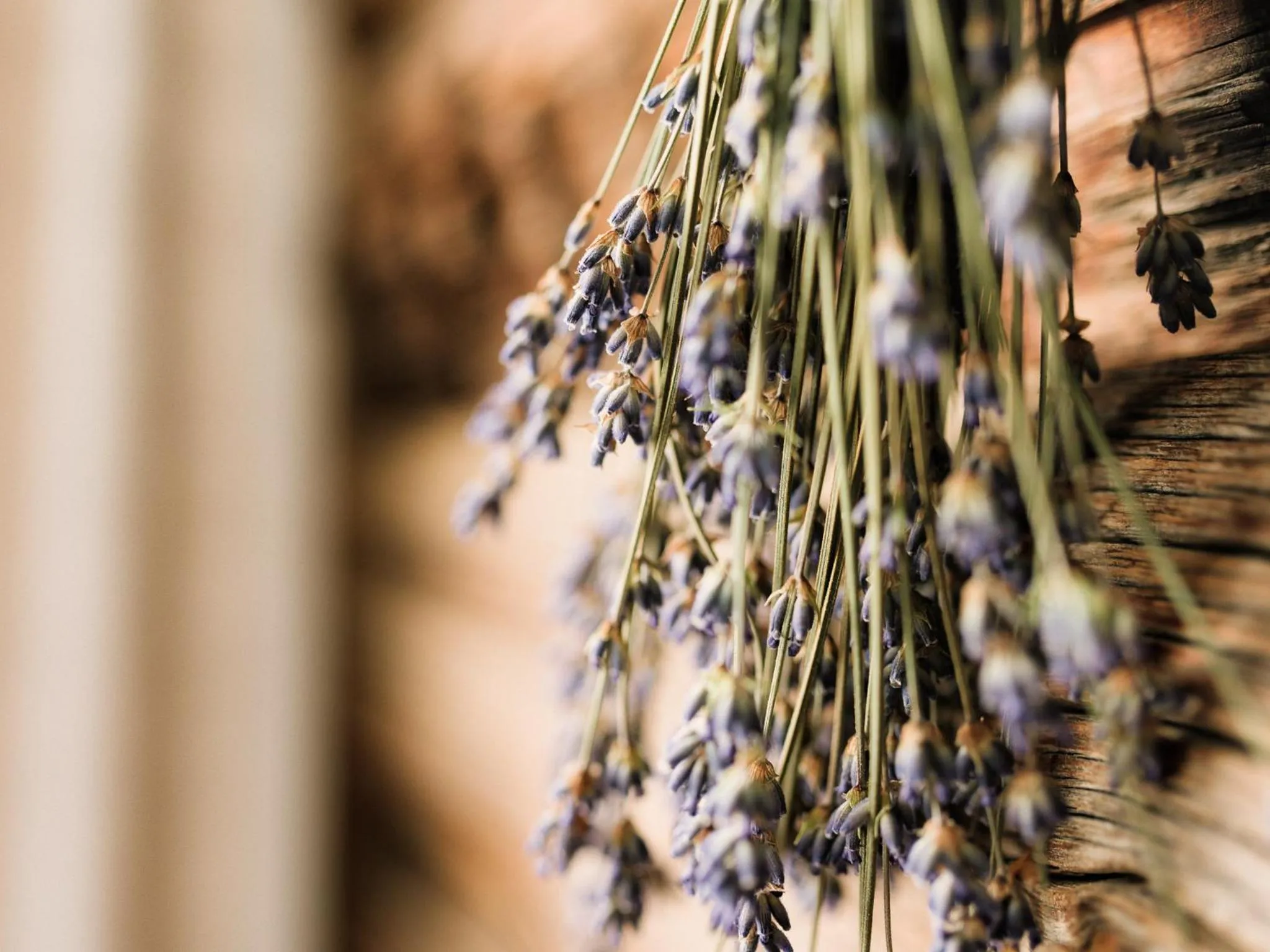 Other in Hotel Forer