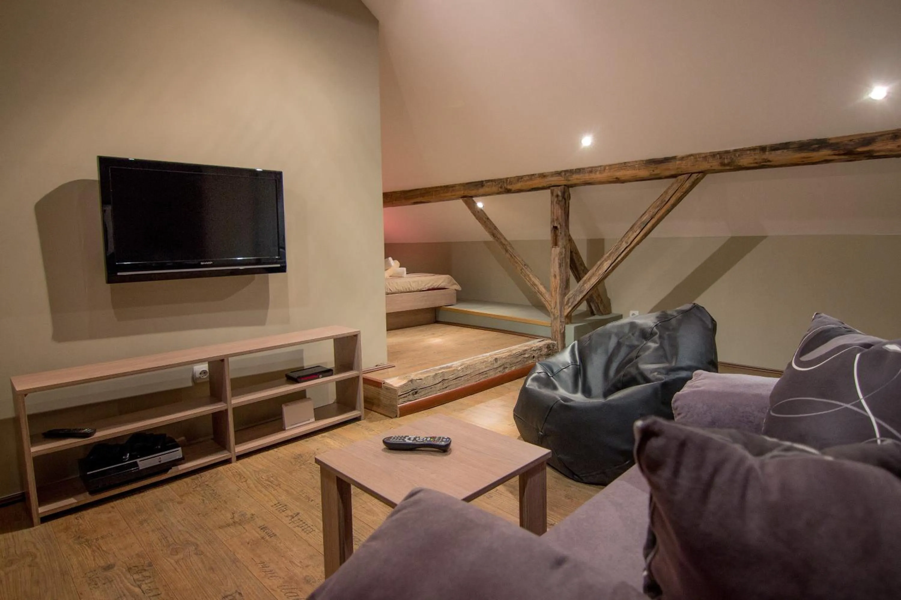 TV and multimedia in Central Park Apartments