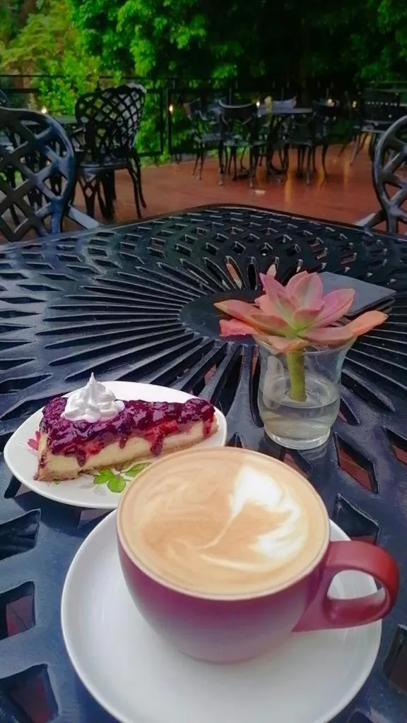 Restaurant/places to eat in The Bohemian Guesthouse