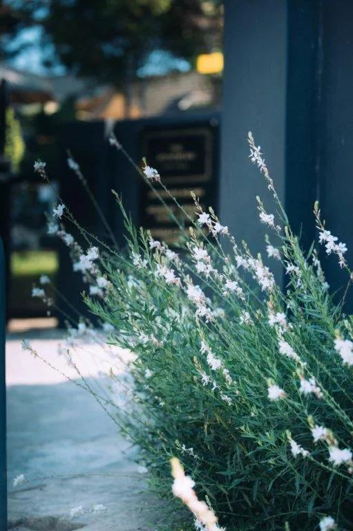 Garden in The Bohemian Guesthouse