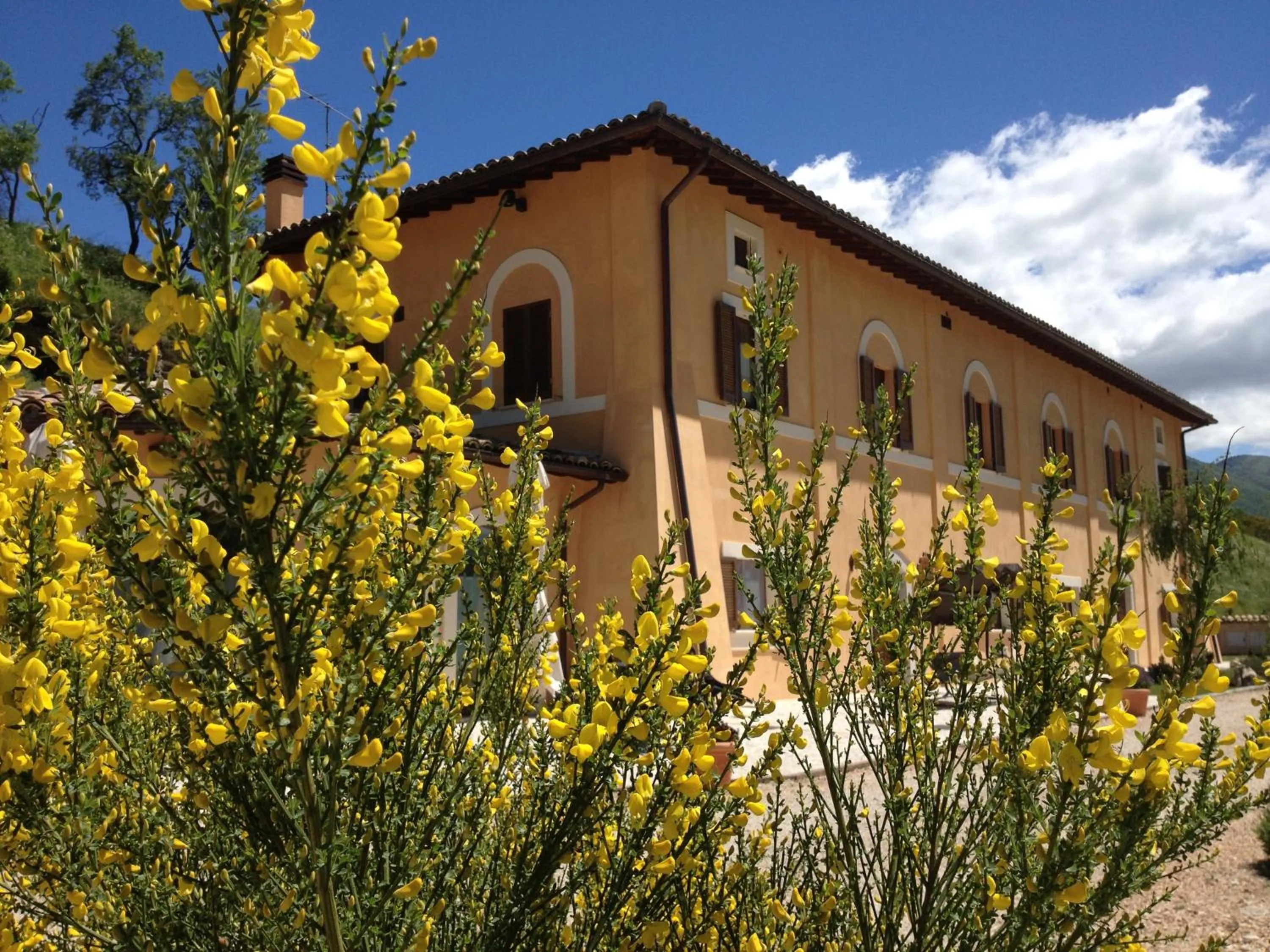 Property building in il casale san martino