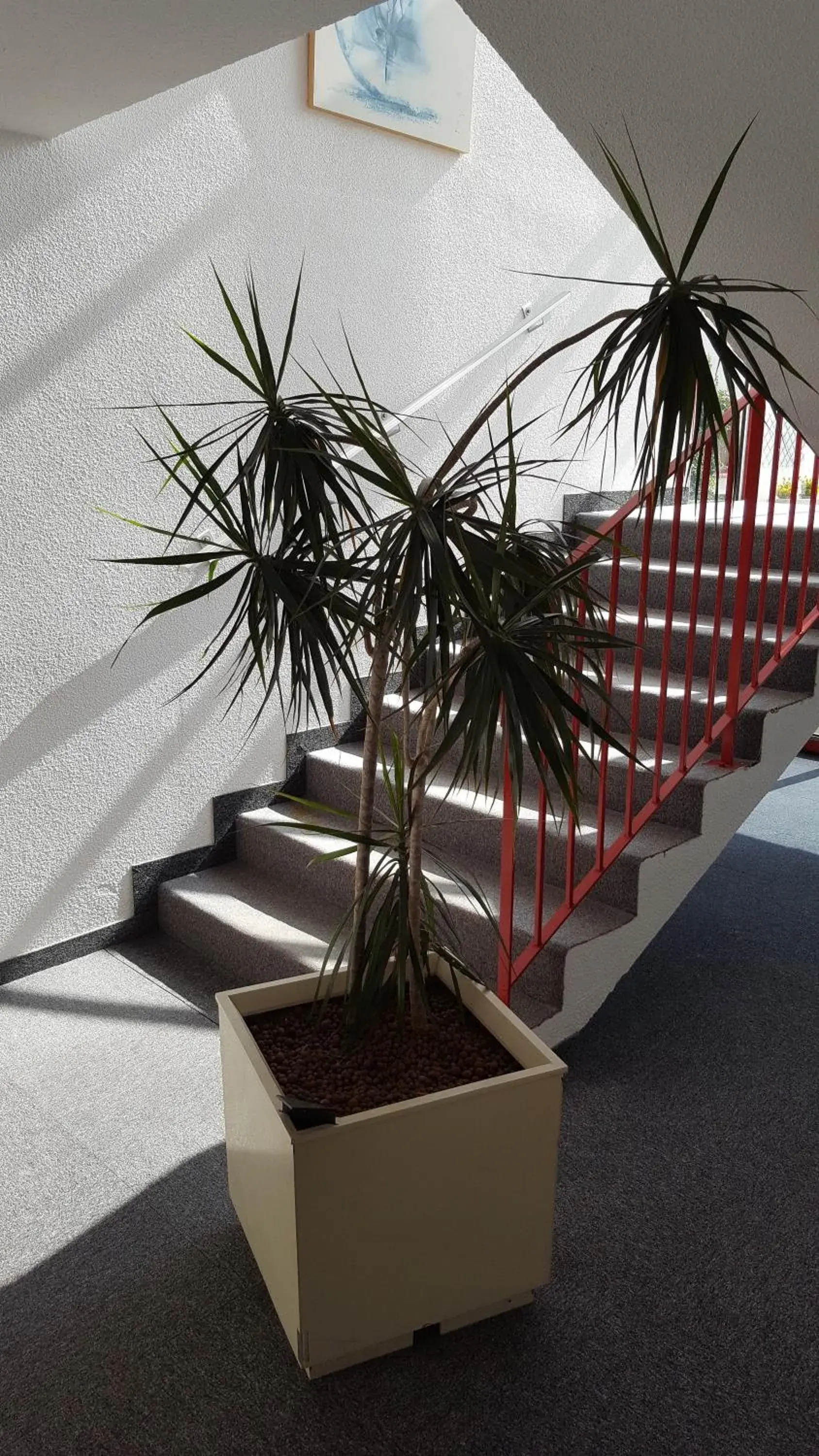 Fasthotel Tarbes Séméac - Un hôtel FH Confort Fasthotel Tarbes Séméac - Un hôtel FH Confort