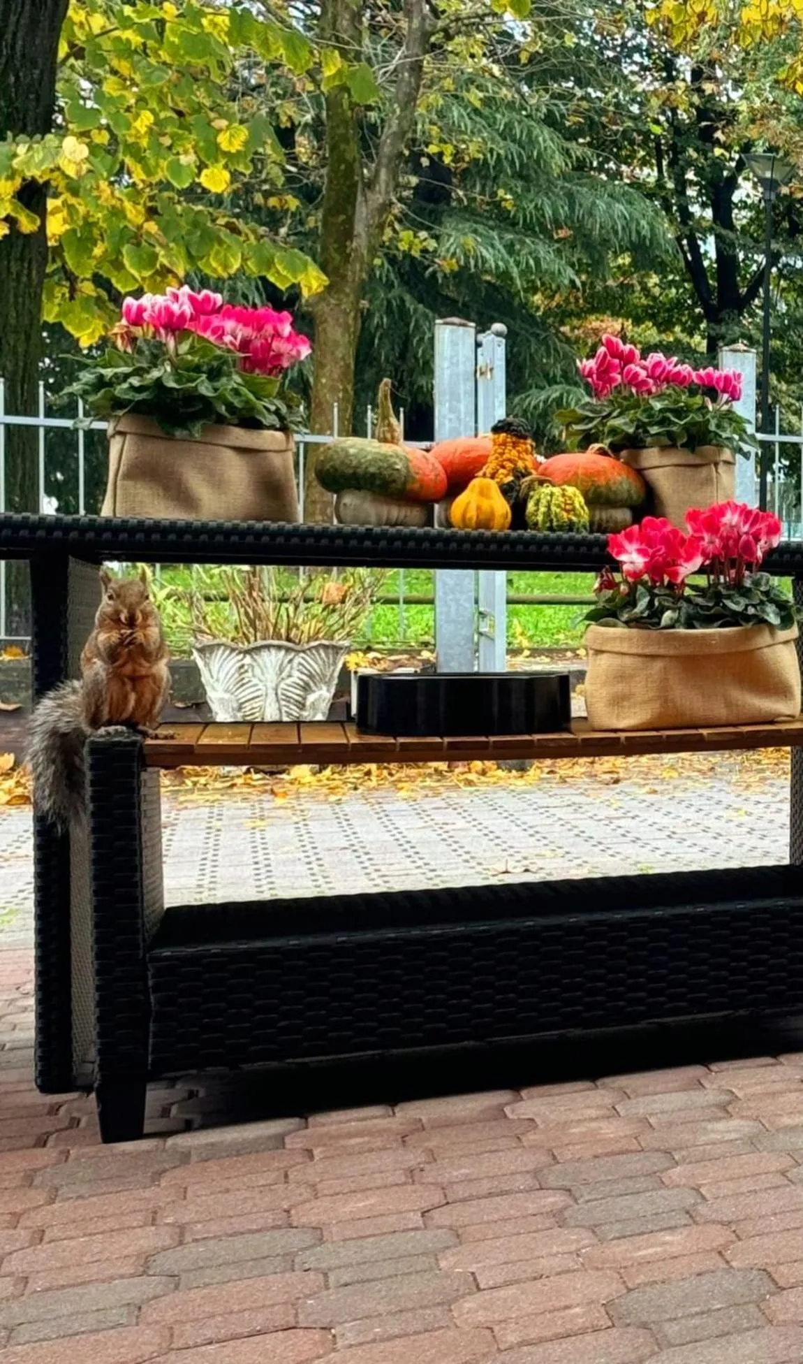 Property building in Hotel Davide