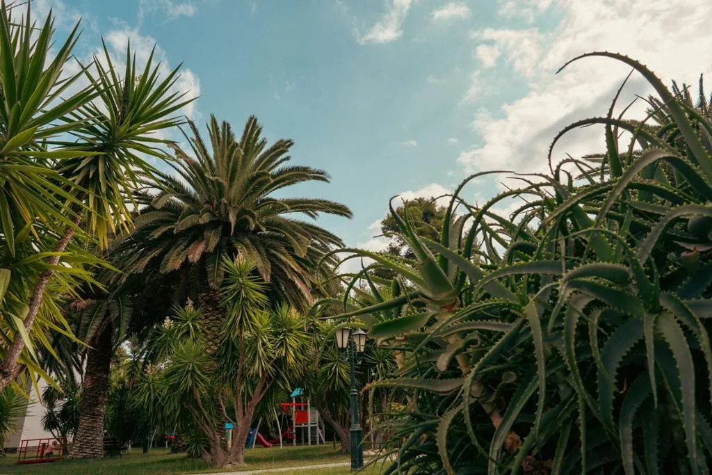 Natural landscape in Hotel Pilalidis