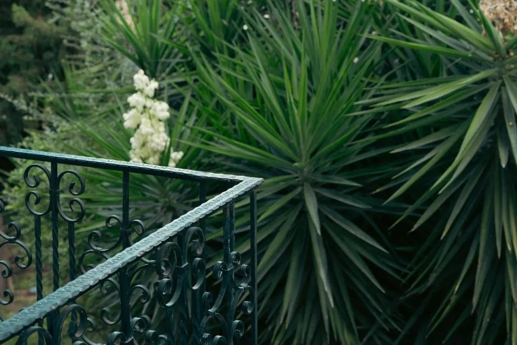 View (from property/room) in Hotel Pilalidis