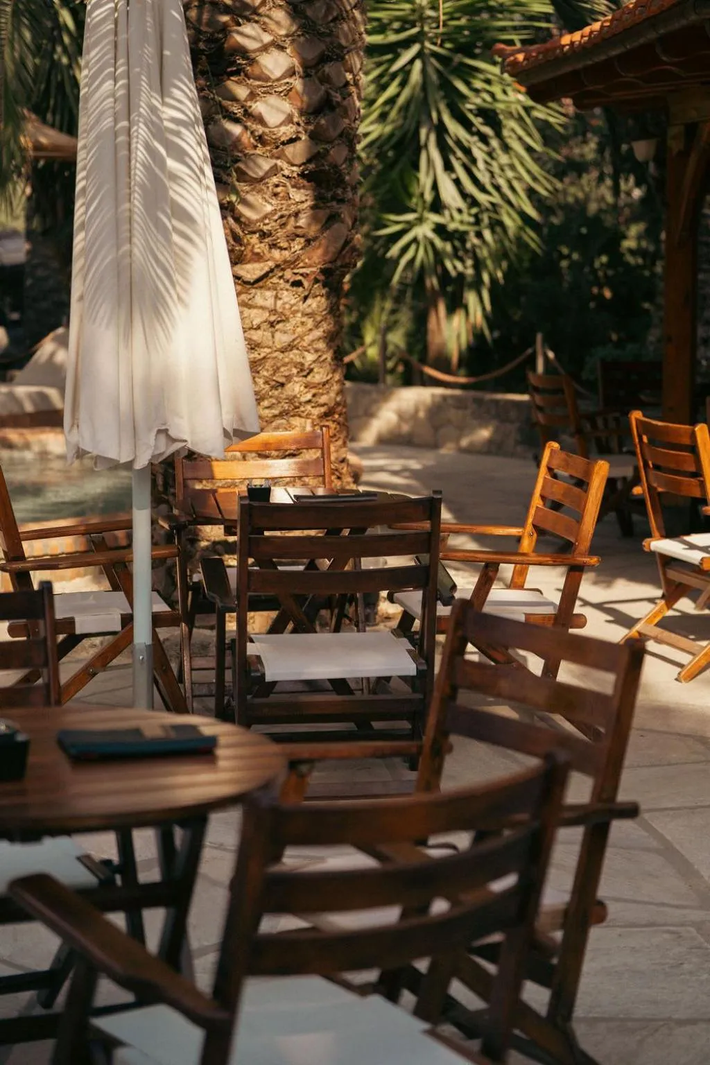 Area and facilities in Hotel Pilalidis