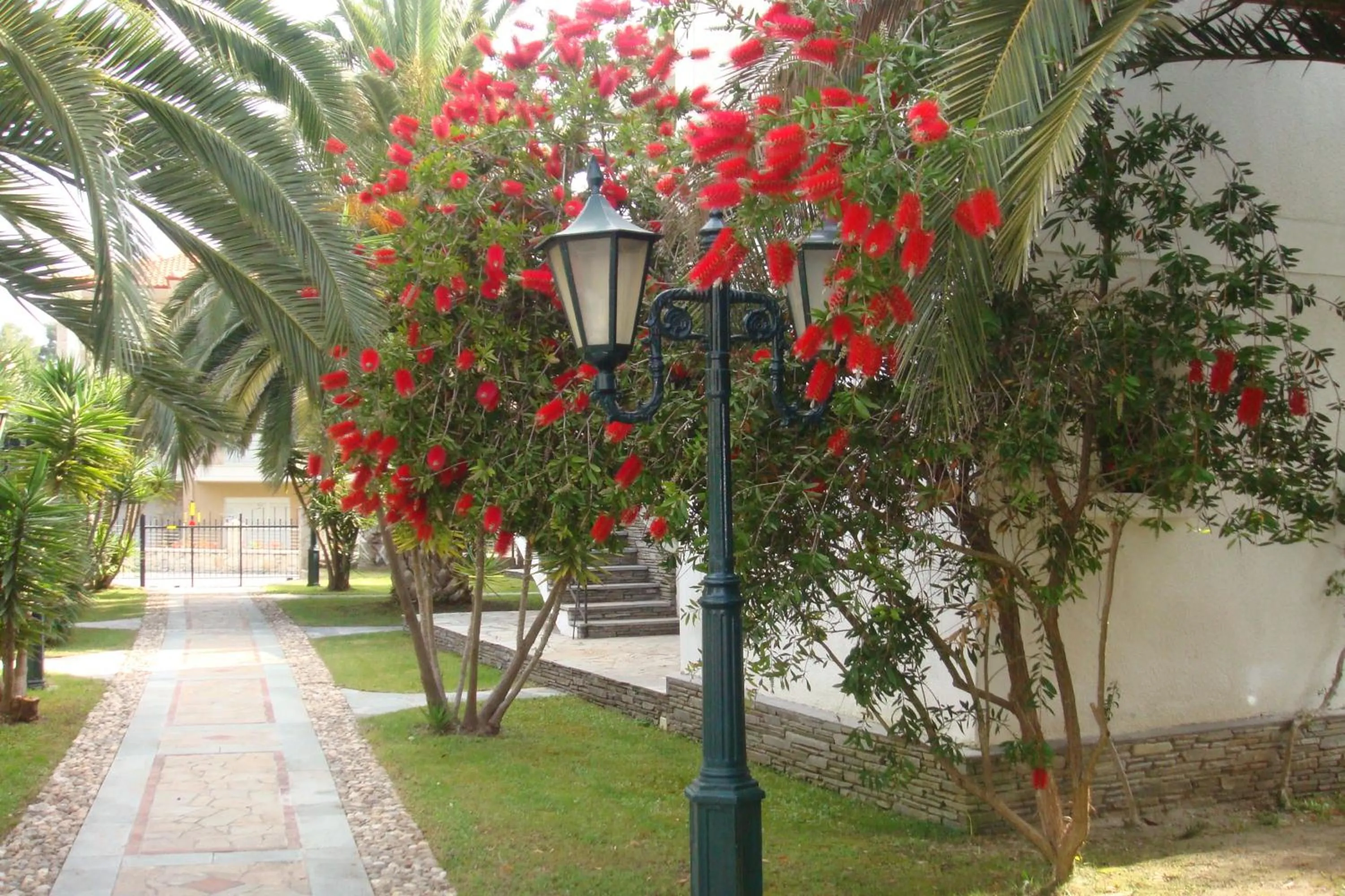 Garden in Hotel Pilalidis