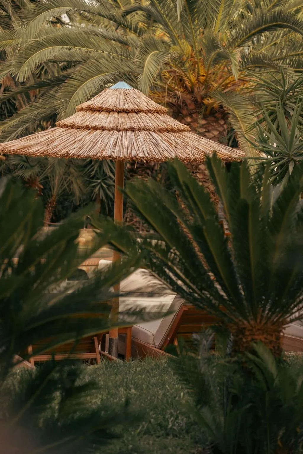 Natural landscape in Hotel Pilalidis