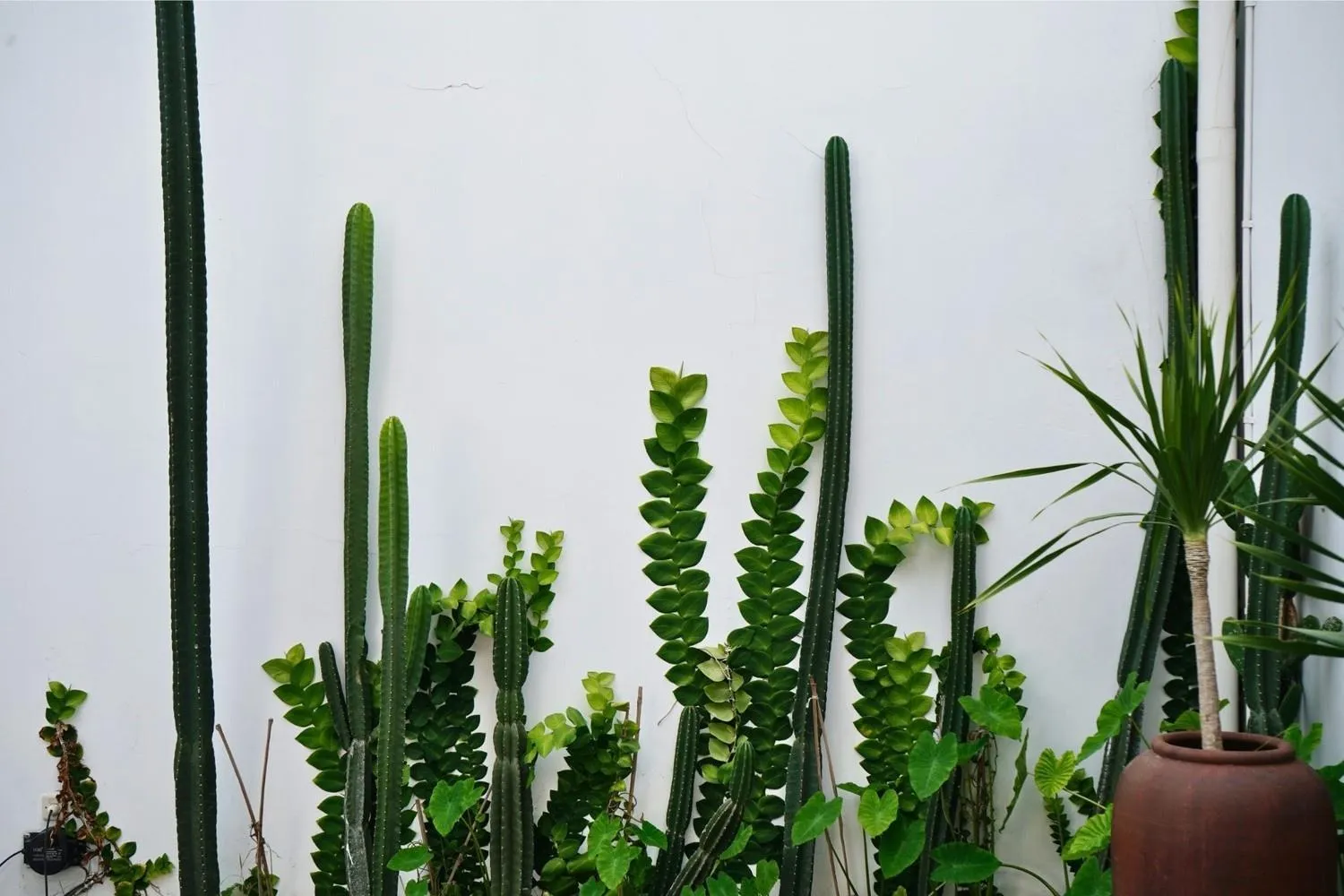 Property building in The Mangkoro Hotel by Sinergi