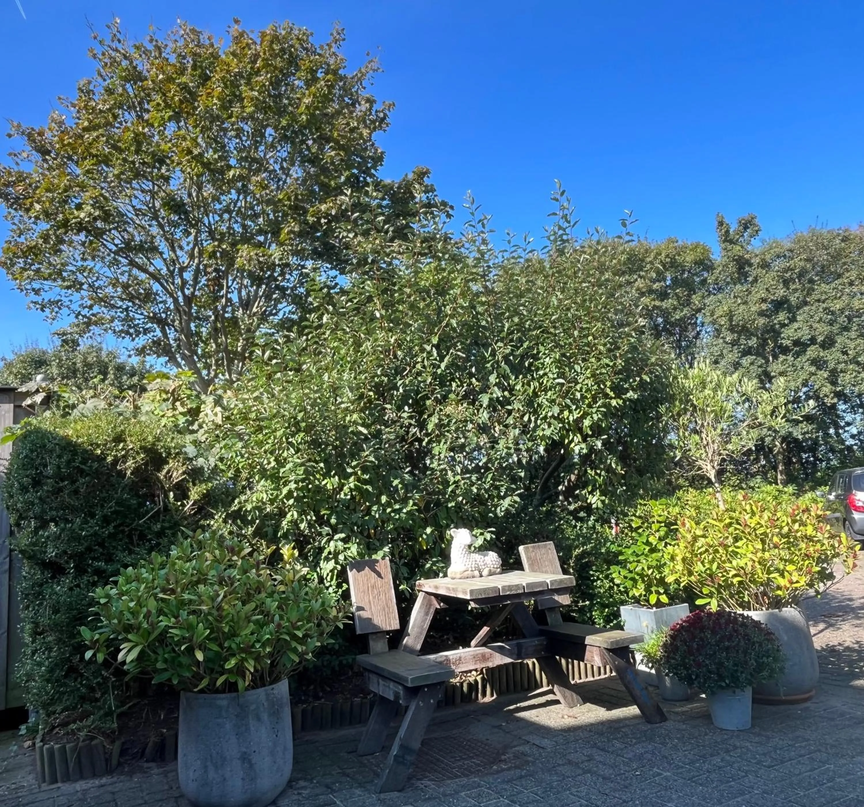 View (from property/room) in B&B Vloedlijn Texel