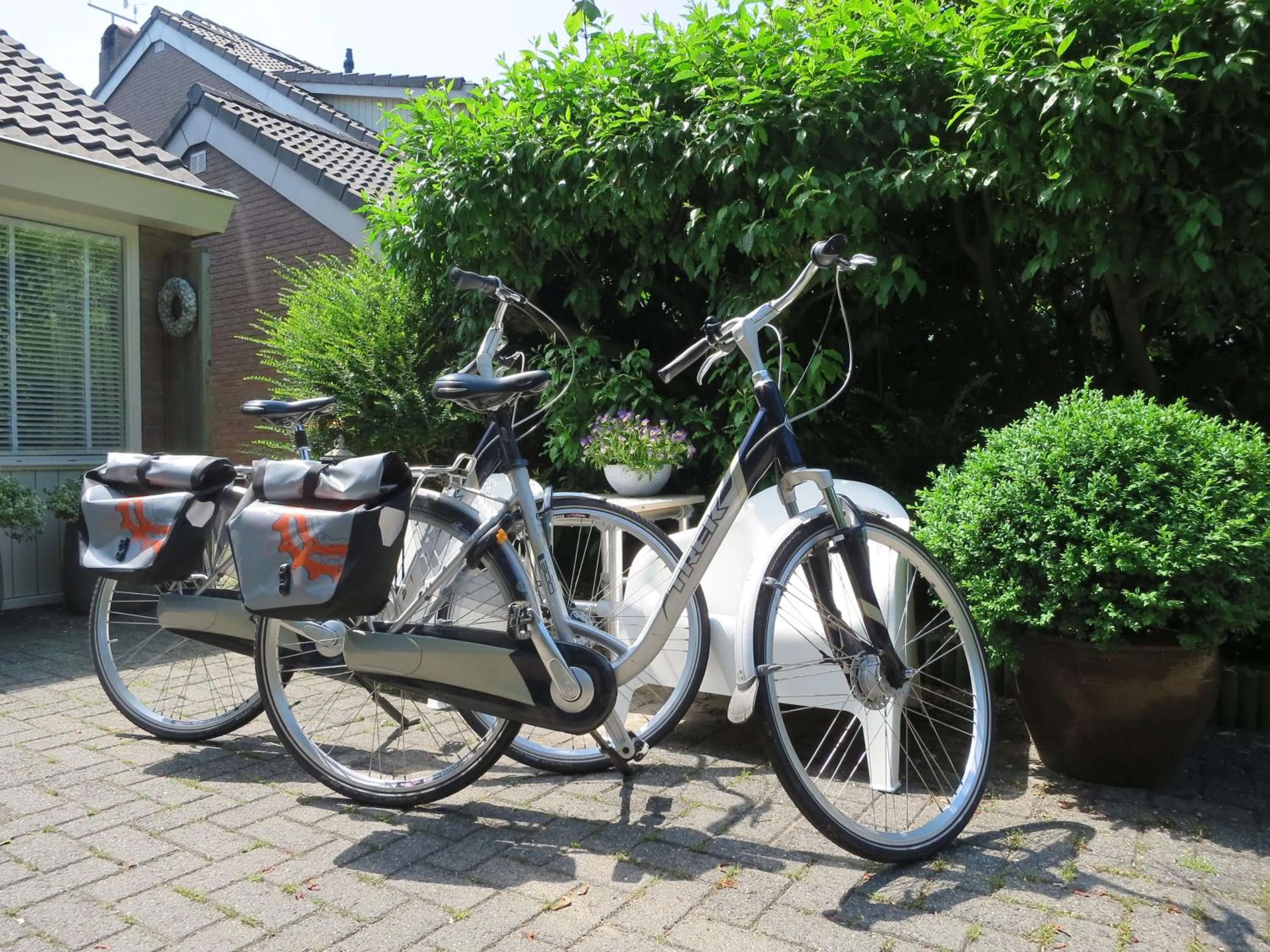 Cycling in B&B Vloedlijn Texel