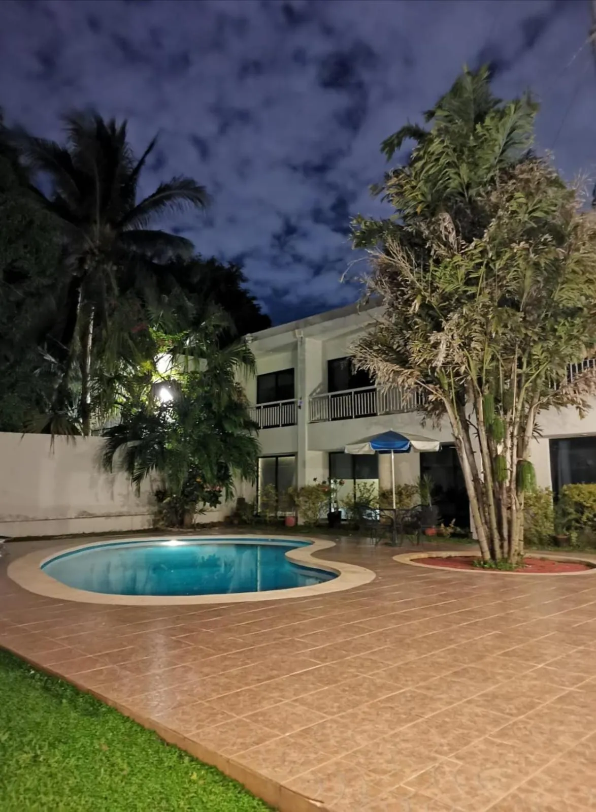 Swimming pool in Hotel Holly