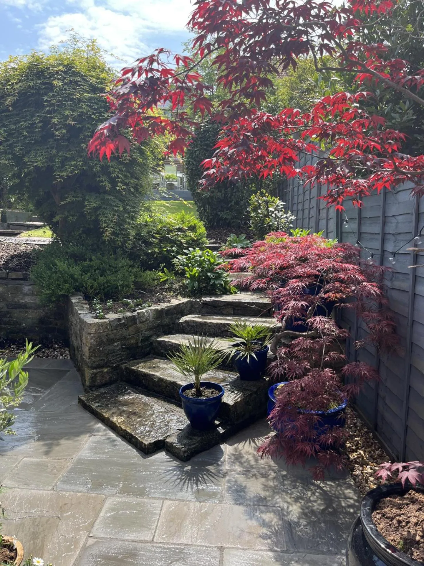 Garden in The Glastonbury Townhouse B&B
