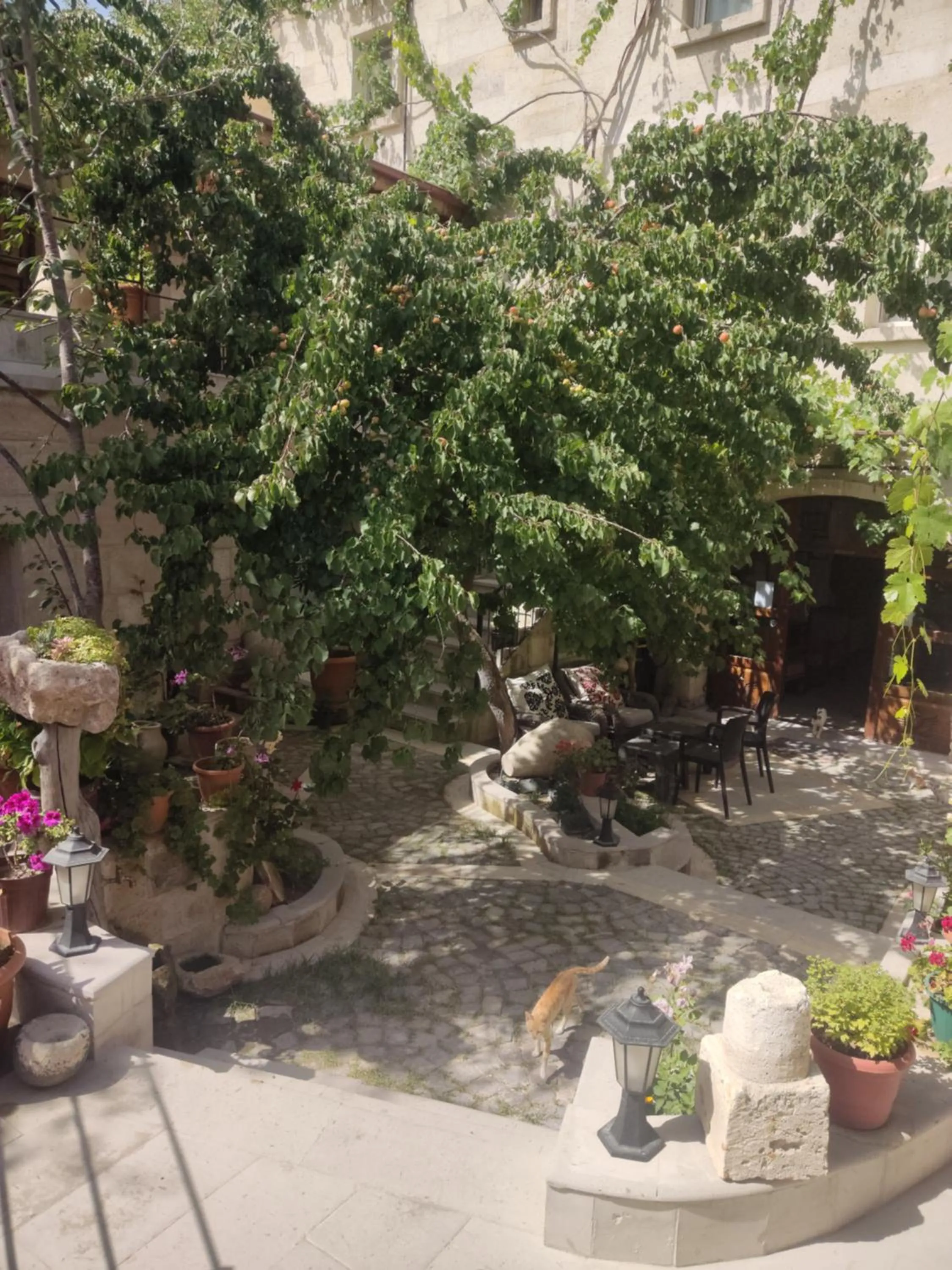 Inner courtyard view in Luwian Stone House