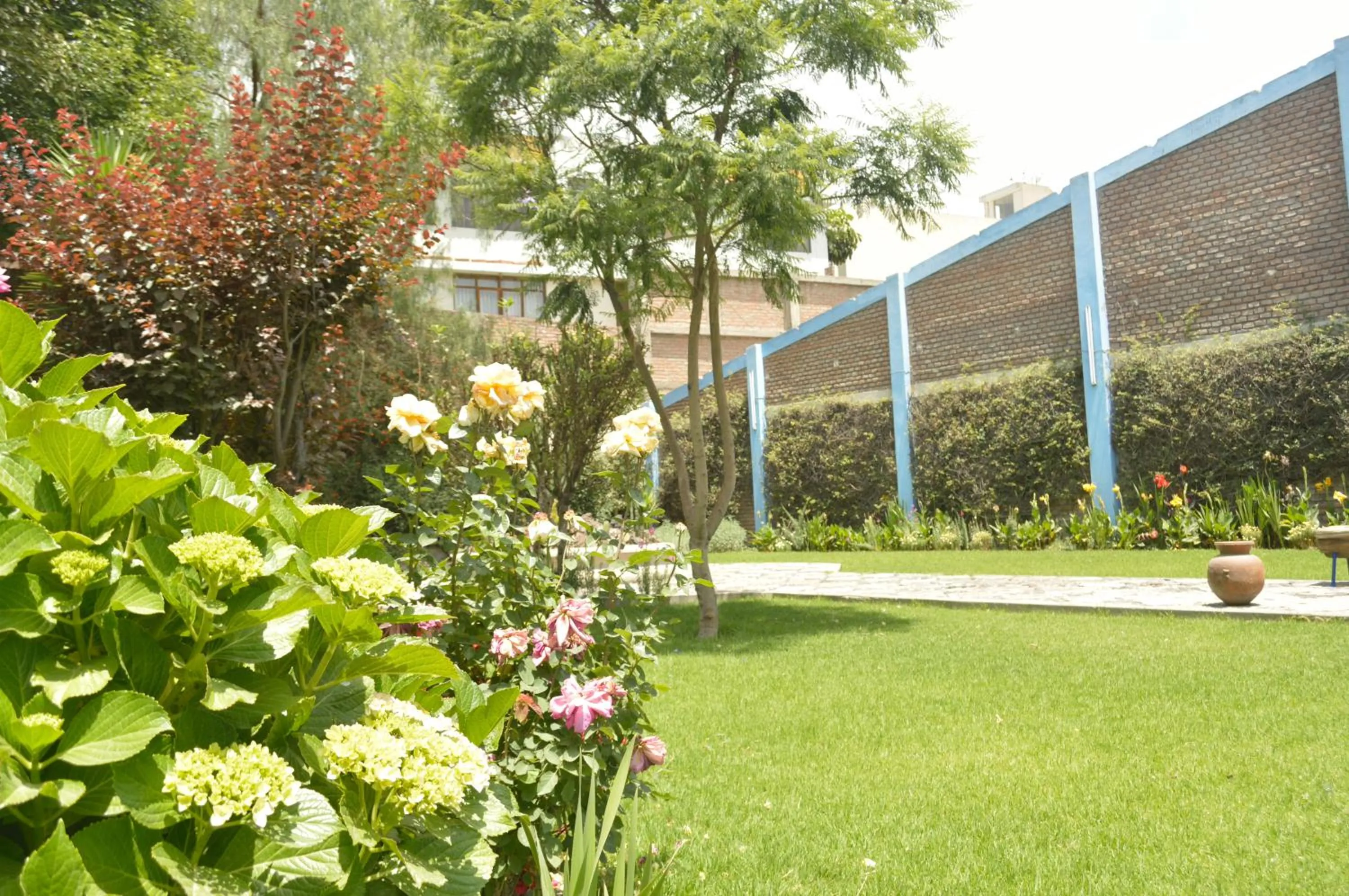 Garden in Las Mercedes
