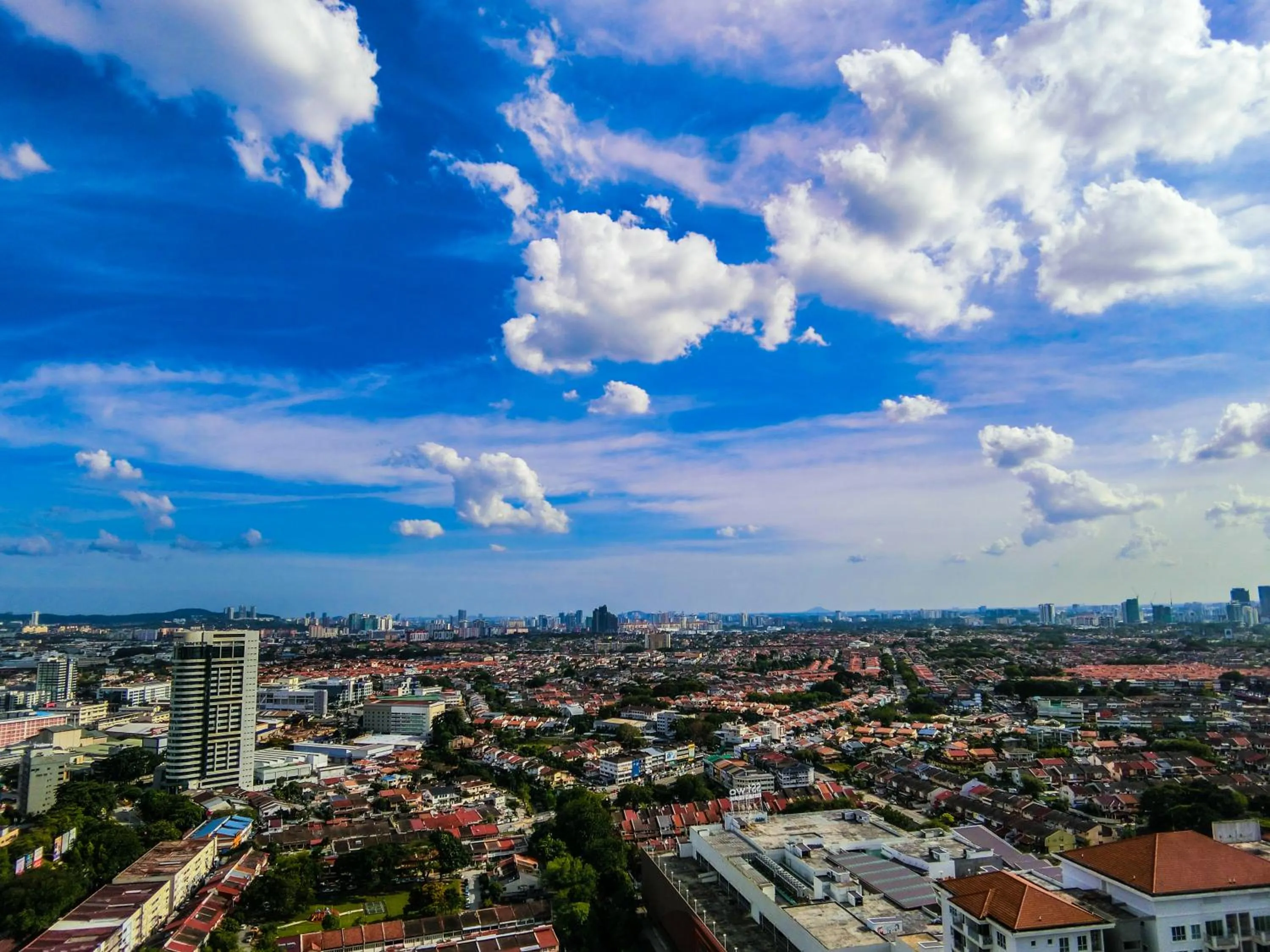 Bird's eye view in The Alder - The Hub SS2