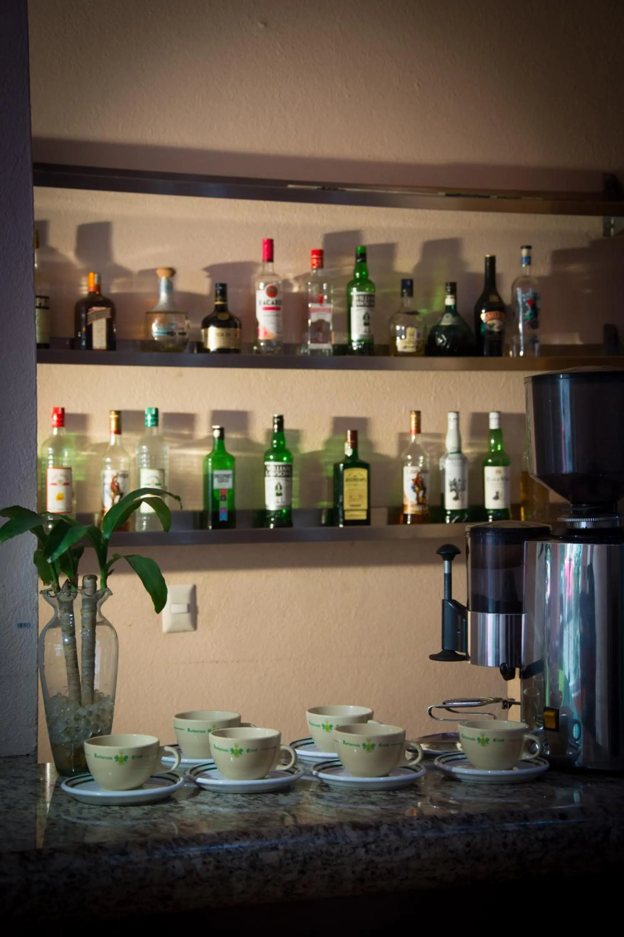 Restaurant/places to eat in Hotel El Senador