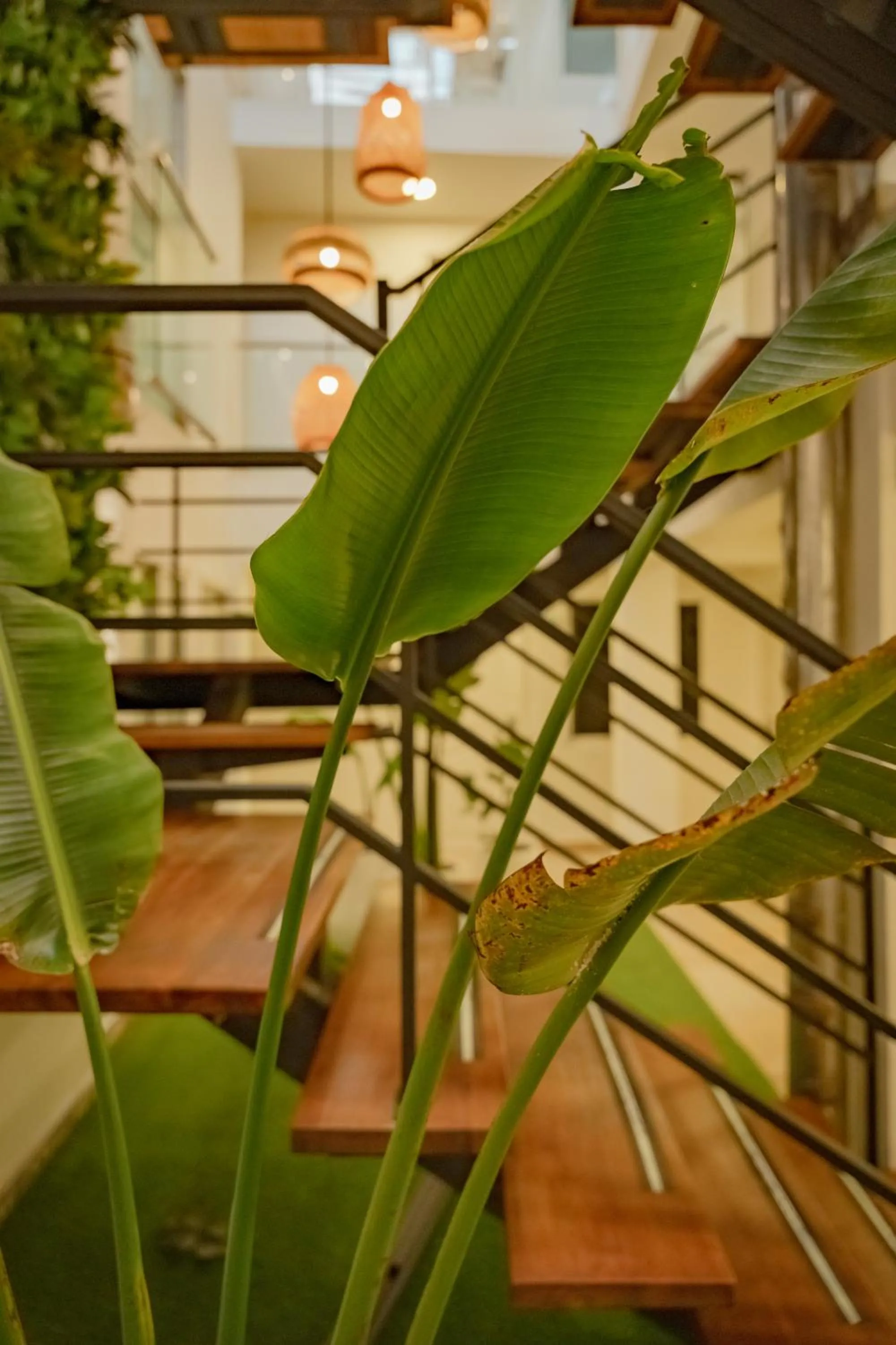 On site in Casa Amanzi Cartagena by Bernalo Hotels