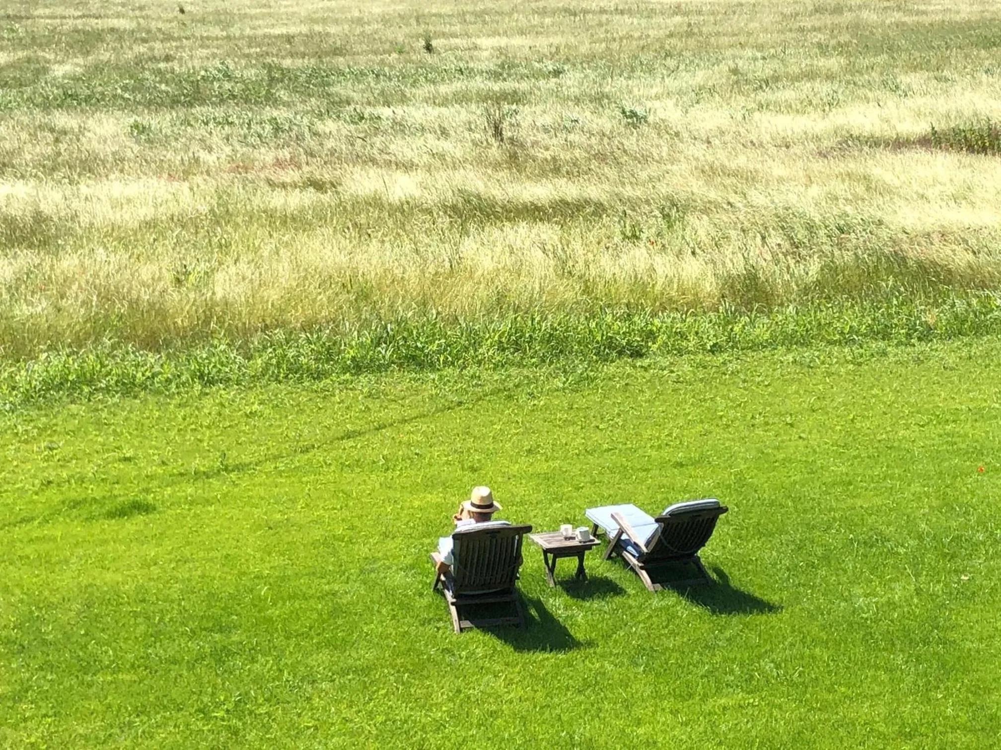 Garden view in Le Mas de la Sorgue