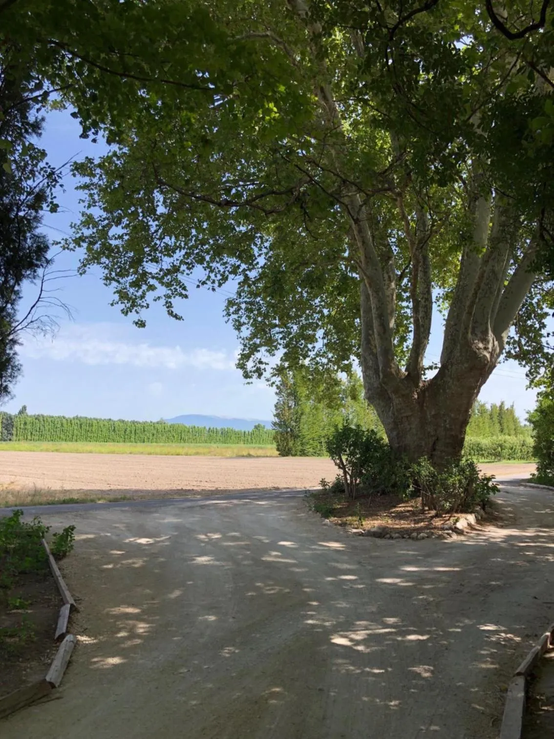 Natural landscape in Le Mas de la Sorgue