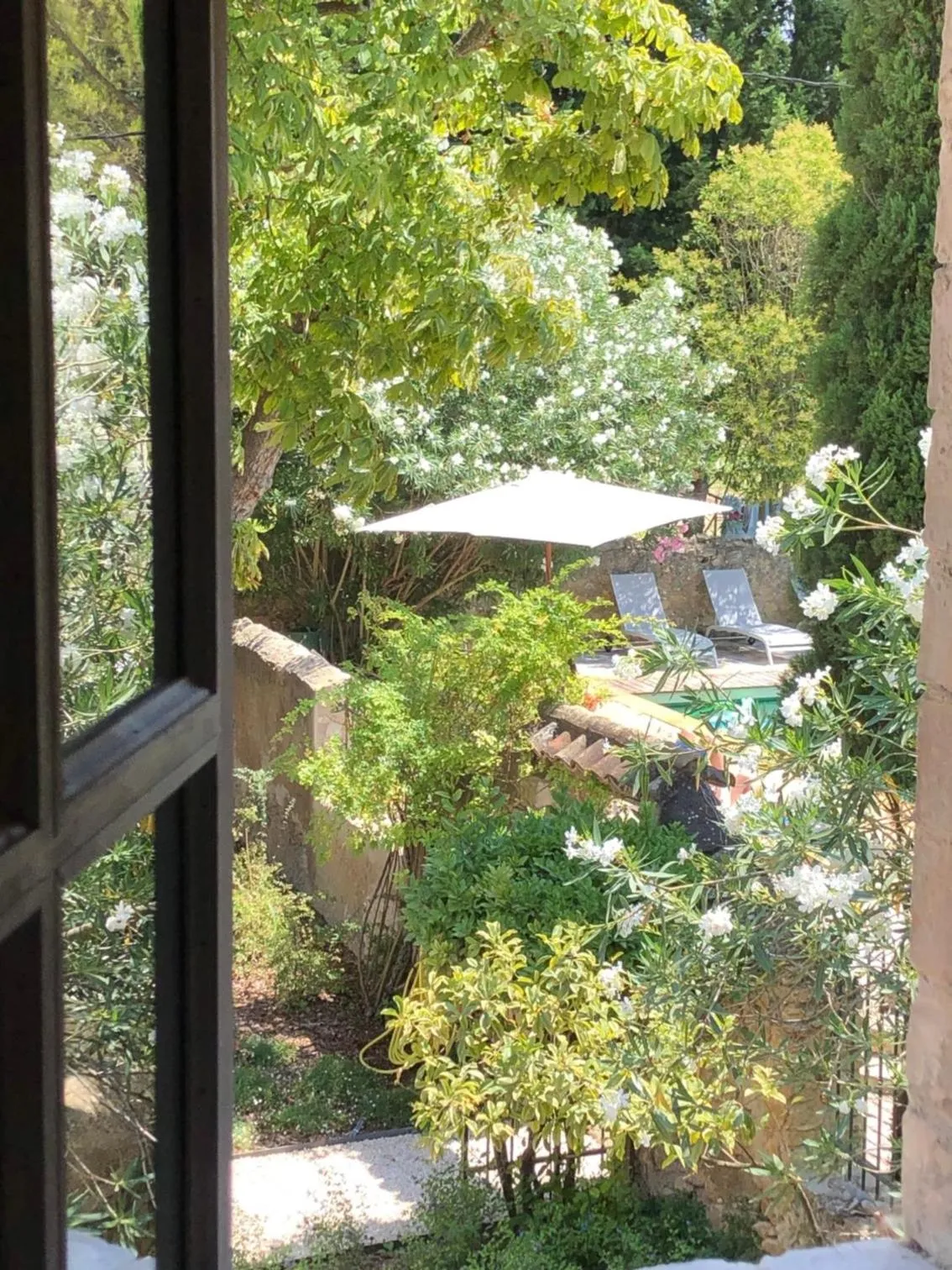 Pool view in Le Mas de la Sorgue