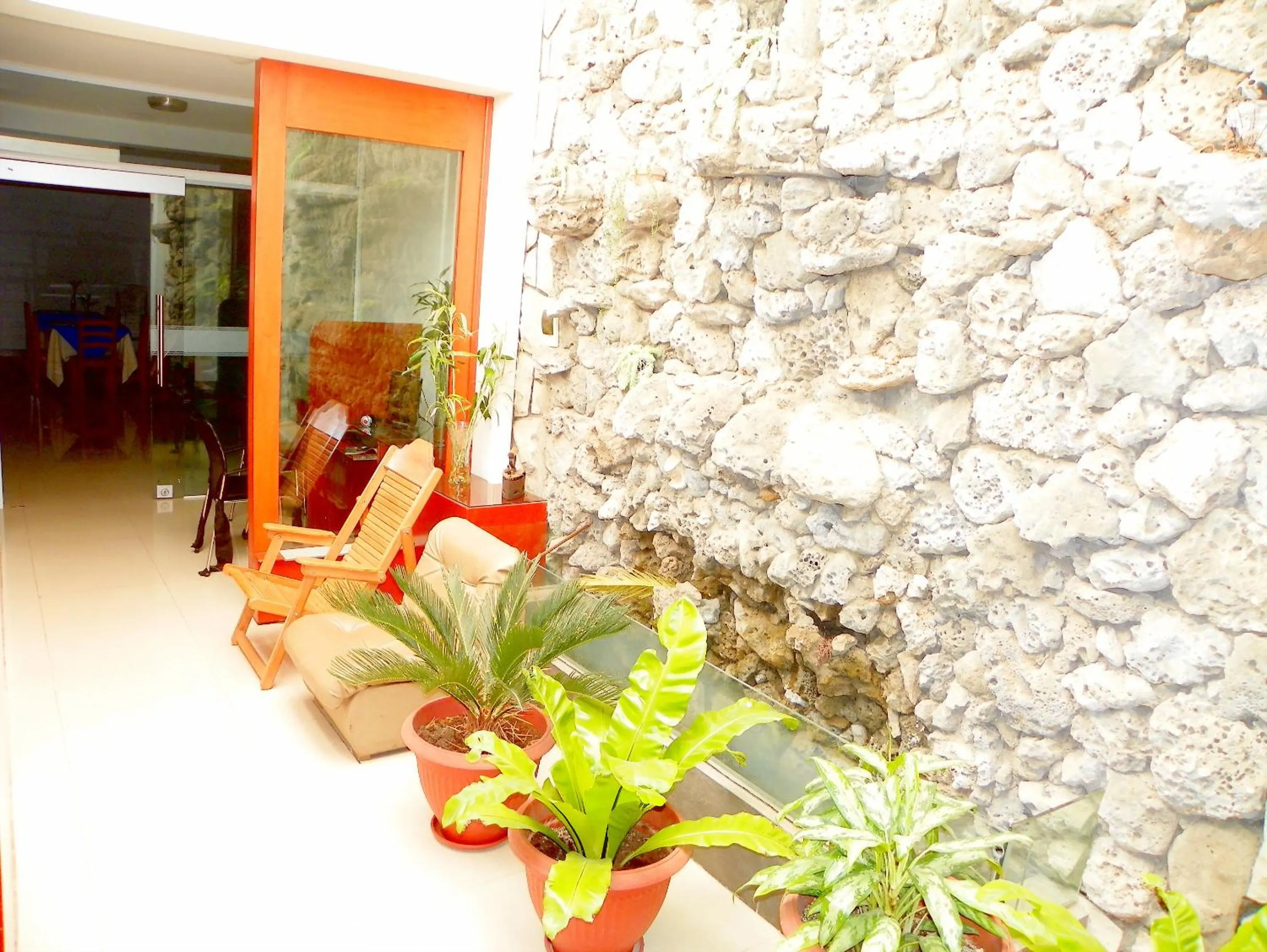 Garden in Hotel Villa Rita Chiclayo