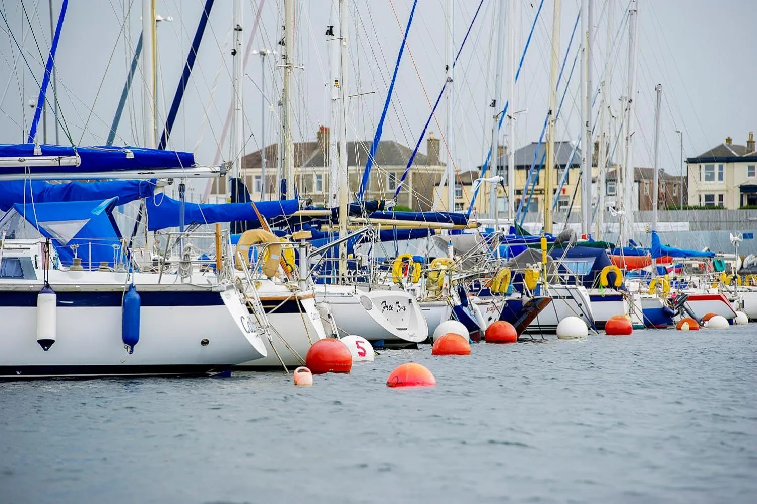 Sea view in The Salt Lodge