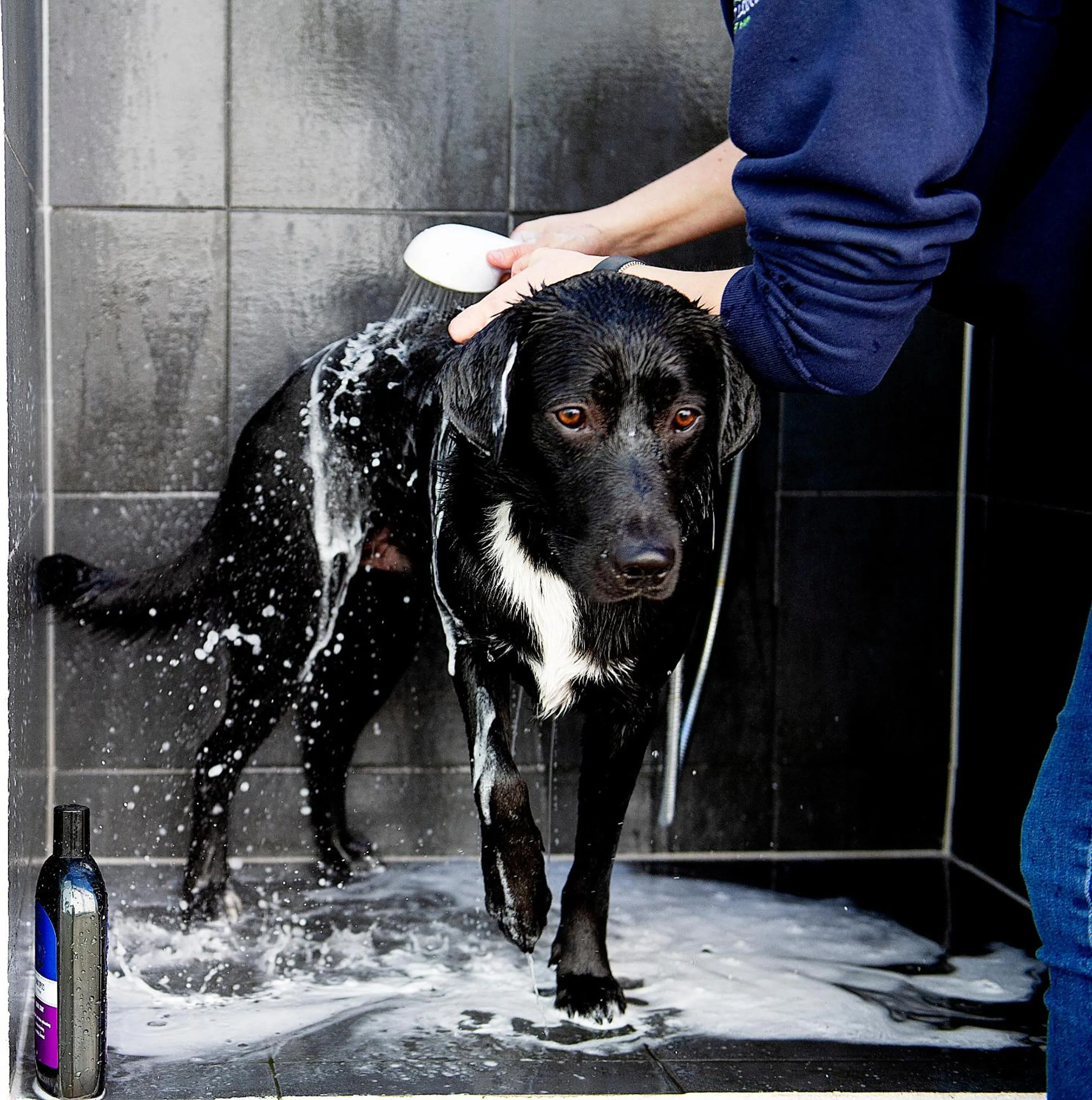 Shower in The Salt Lodge