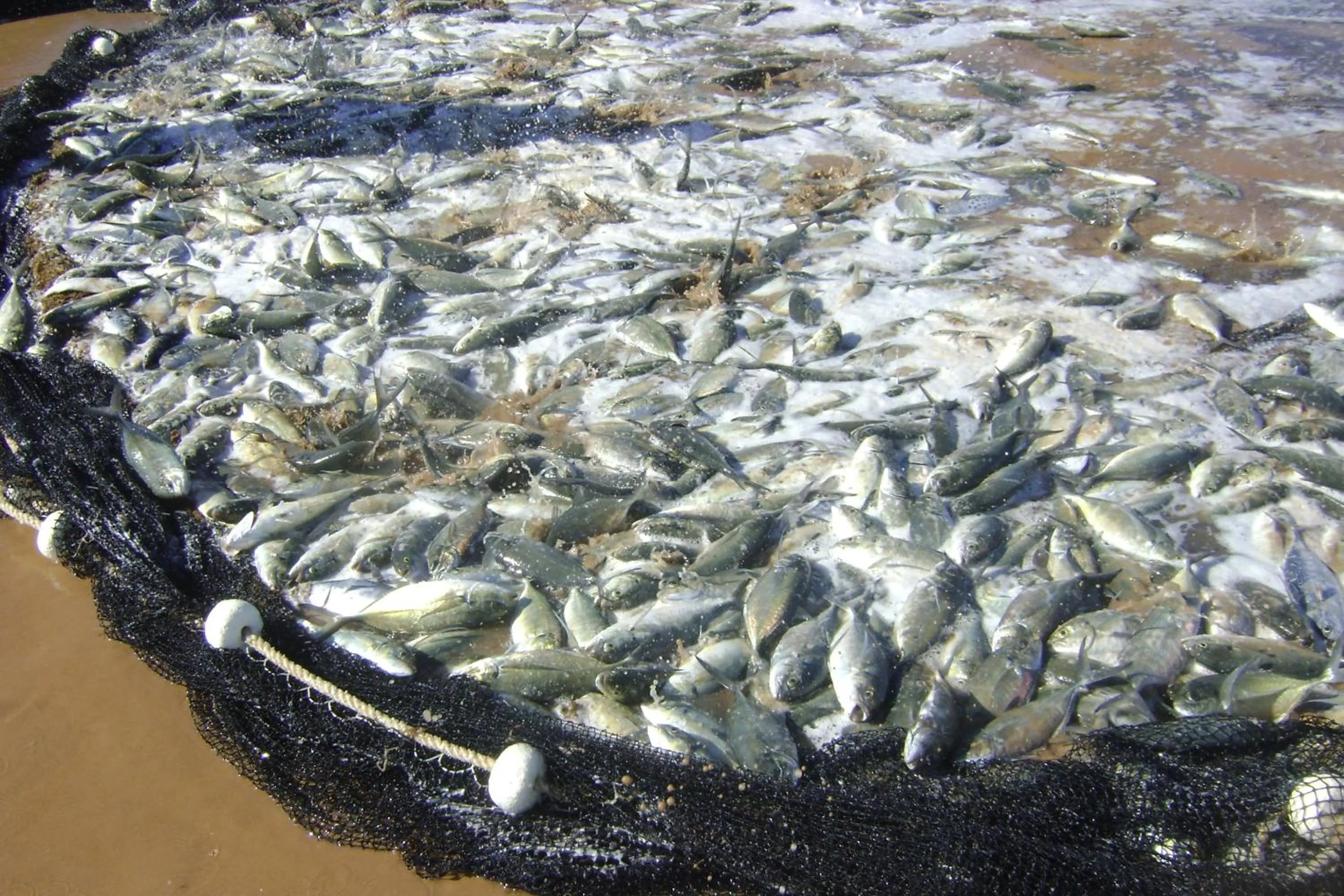 Pousada Lagoa do Cassange