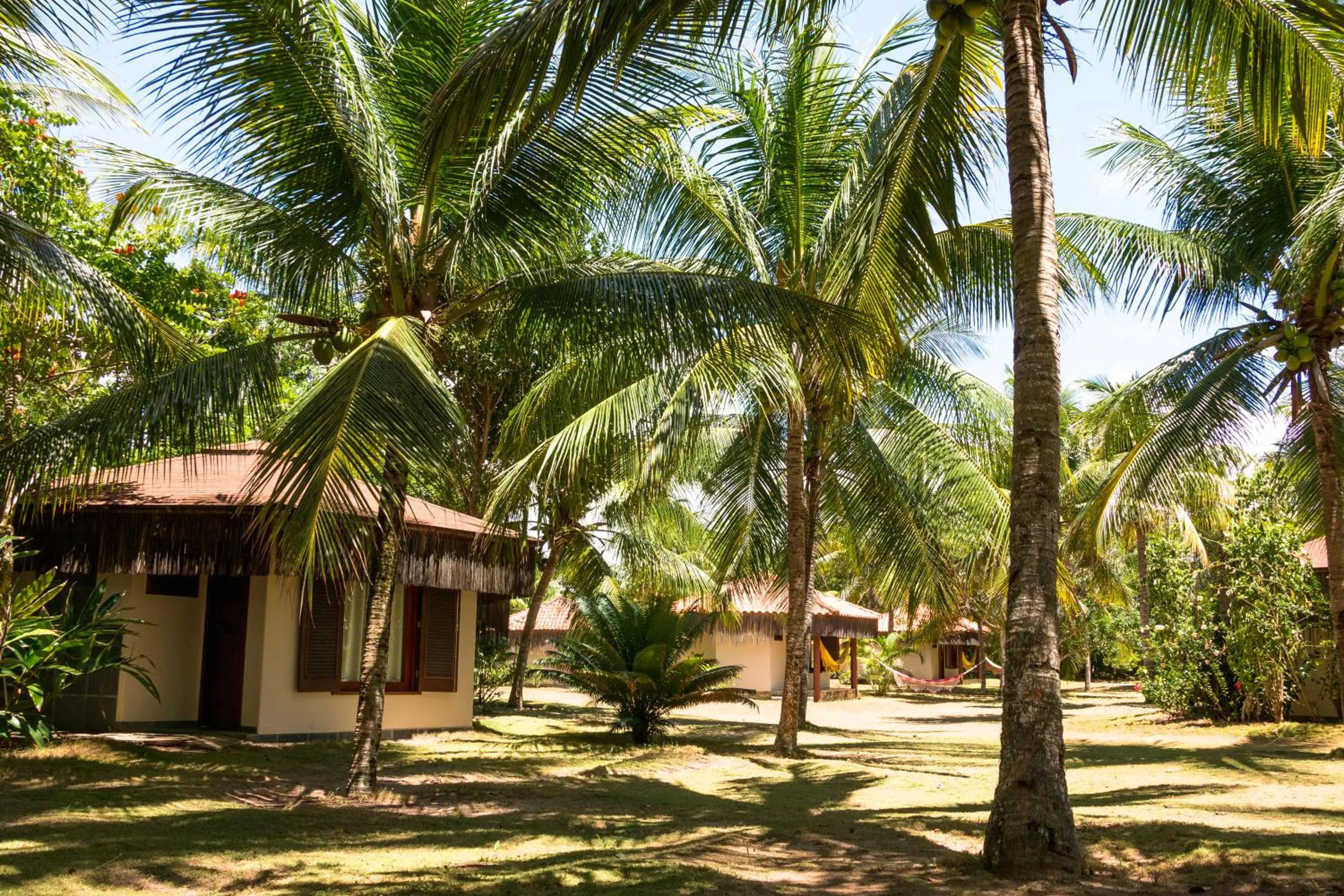 Garden in Pousada Lagoa do Cassange