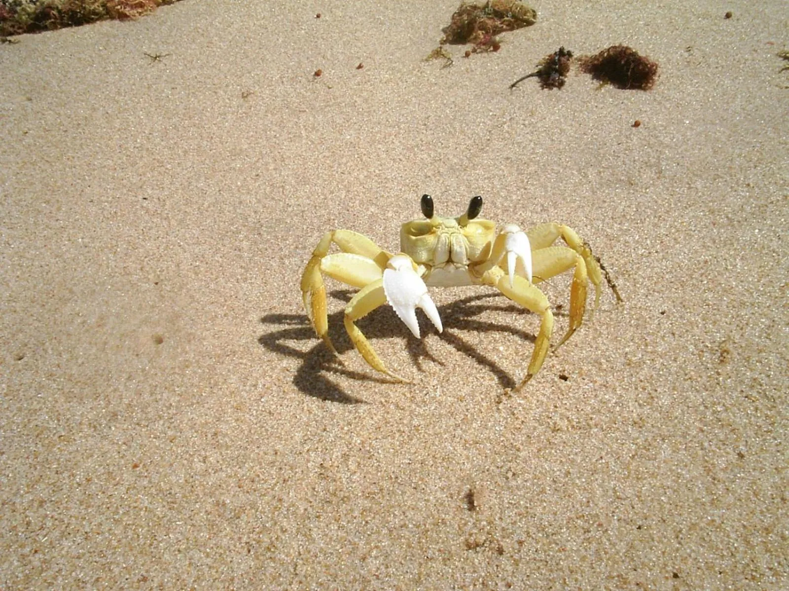 Pousada Lagoa do Cassange