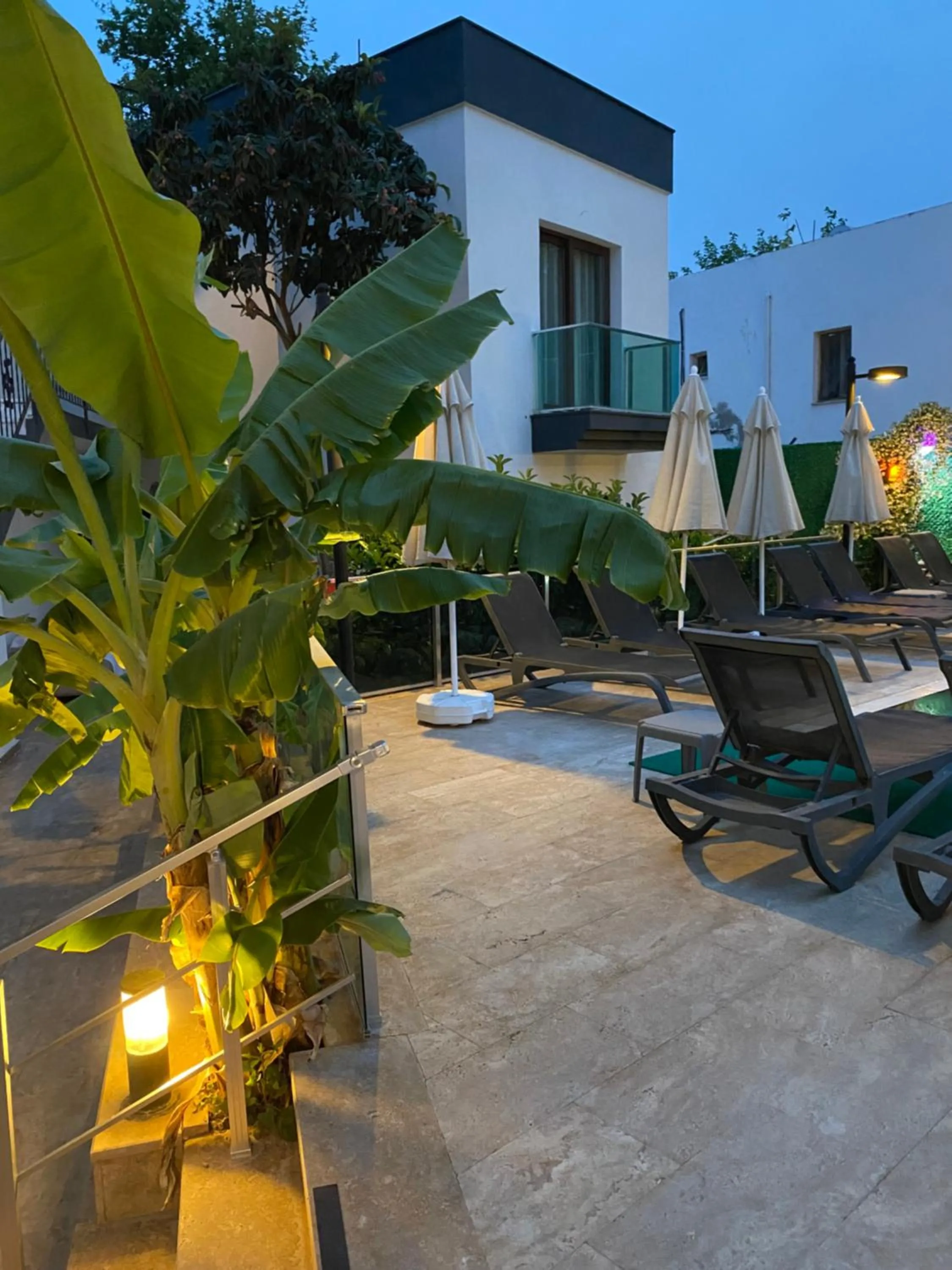 Garden in Orya Aparts