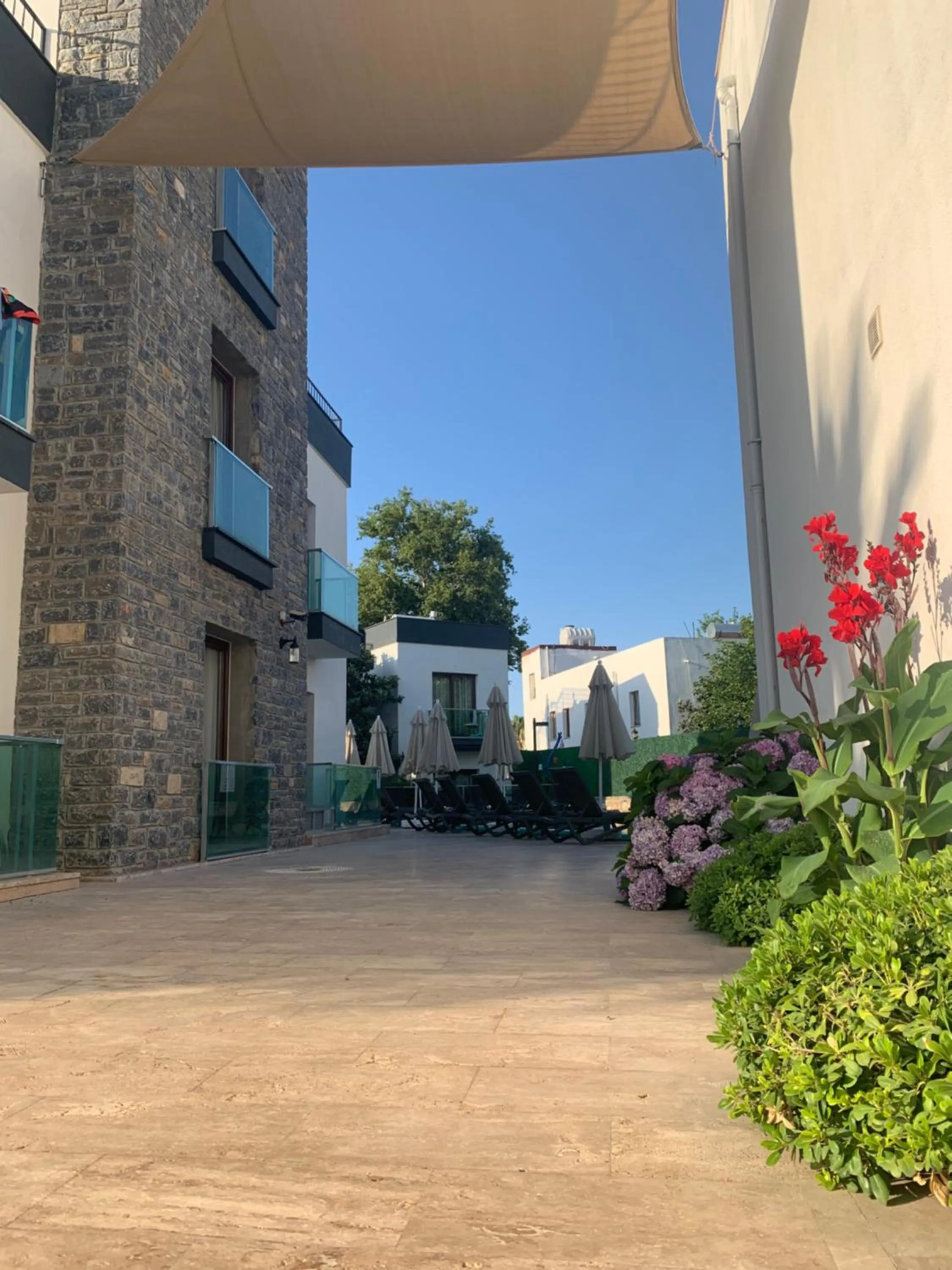 Garden view in Orya Aparts