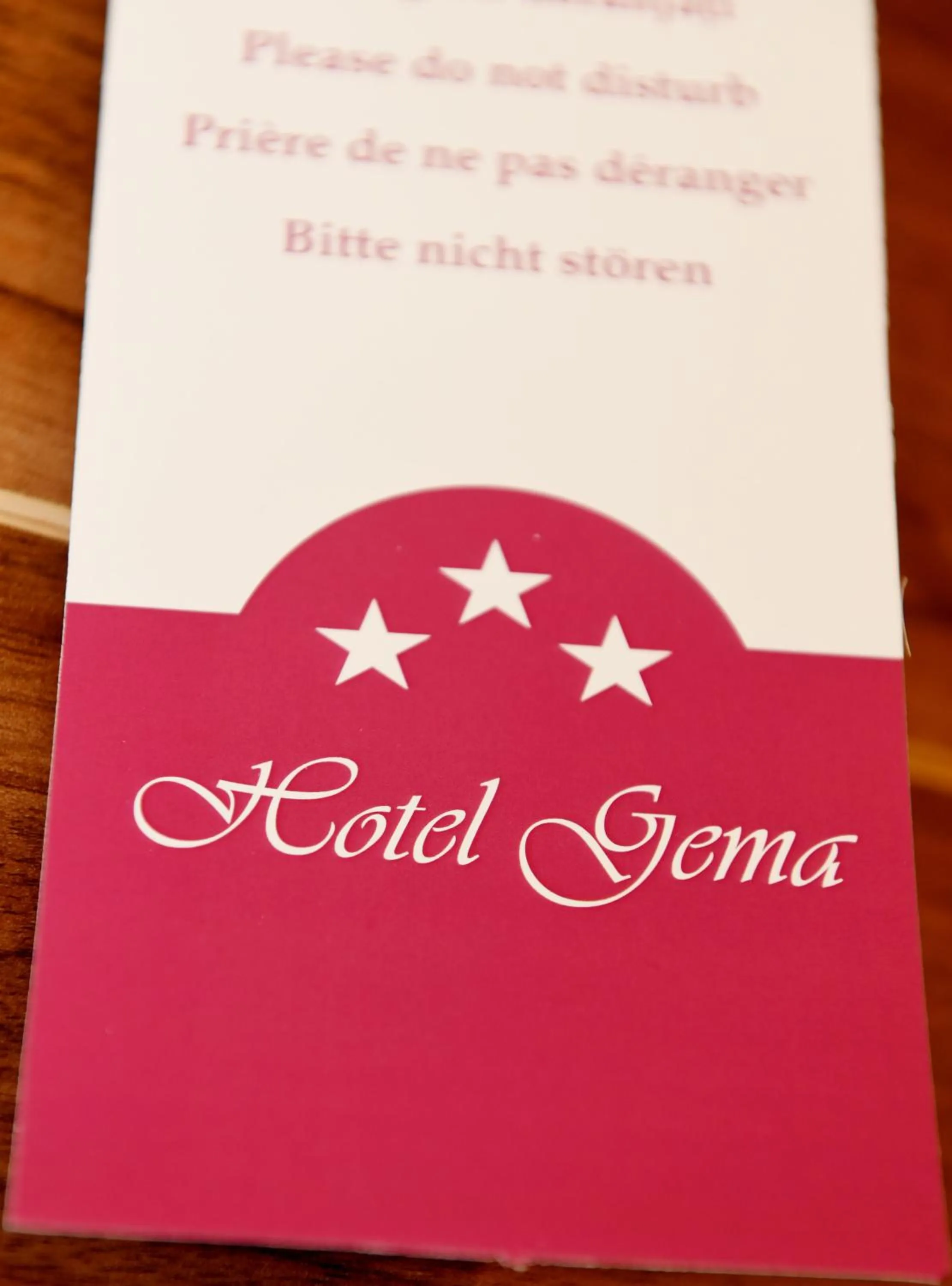 Property logo or sign in Hotel Gema