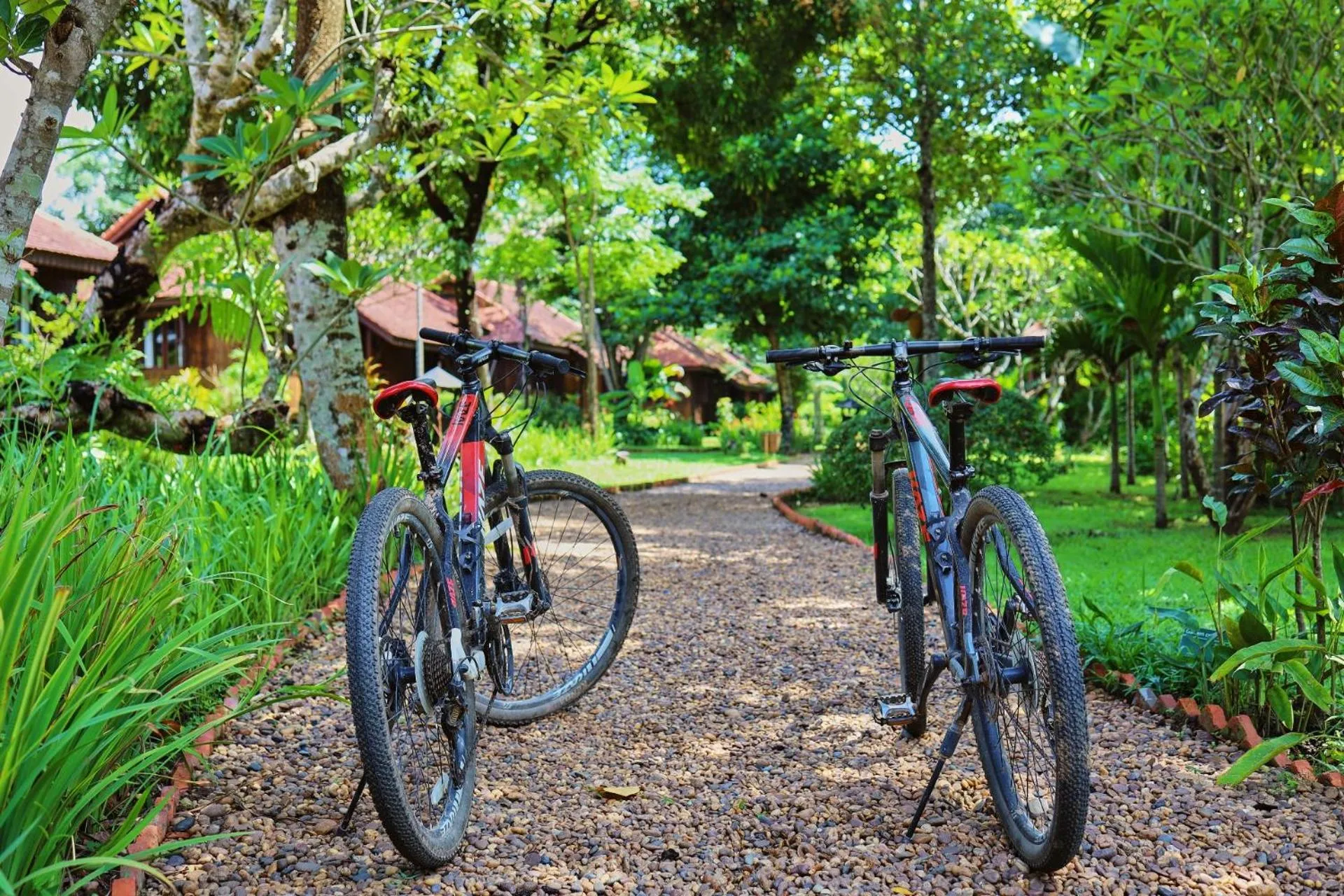 Cycling in La Folie Lodge