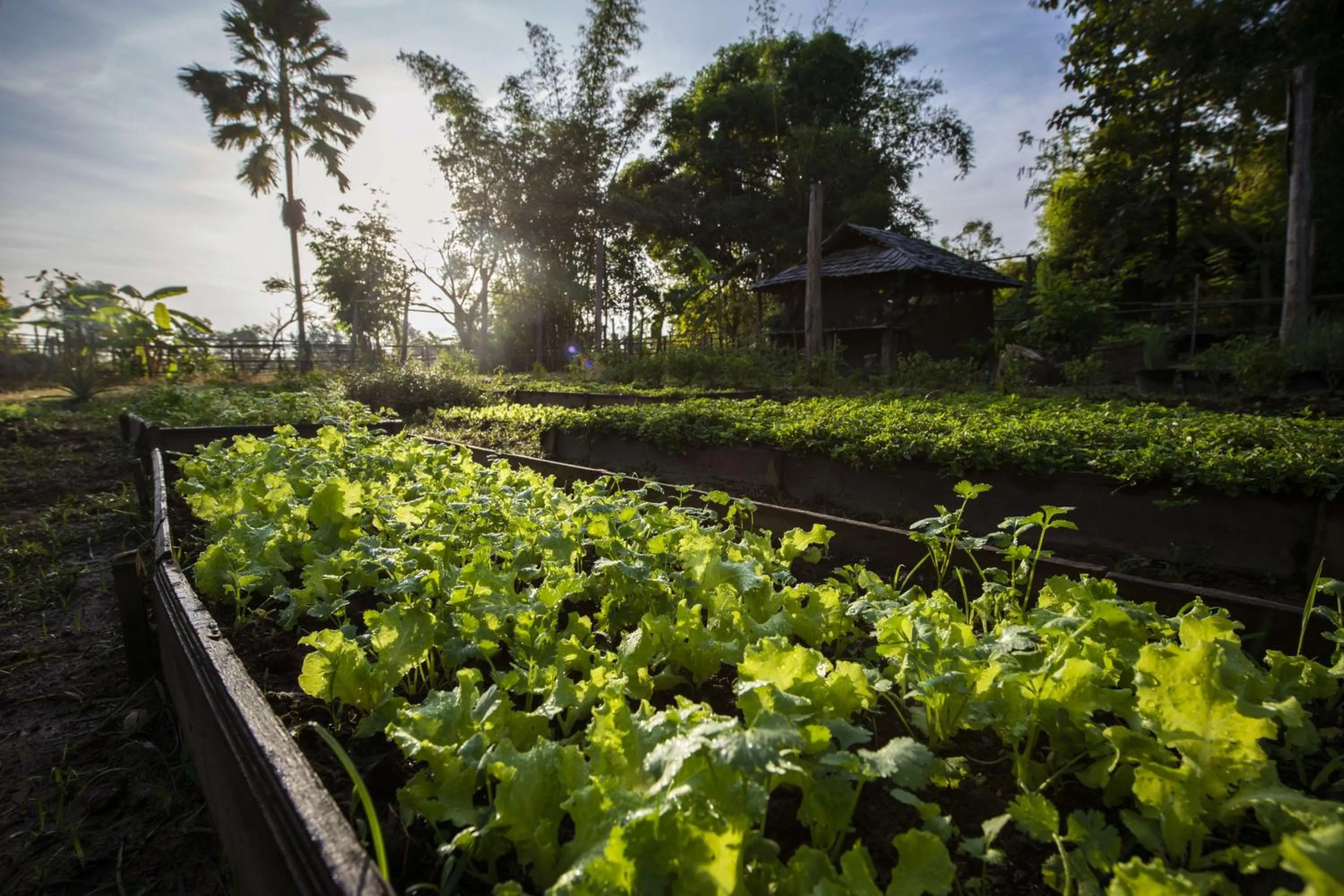 Garden in La Folie Lodge
