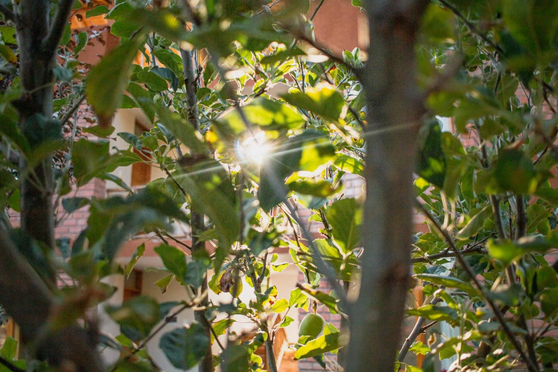 Allin Illary Eco Hospedaje