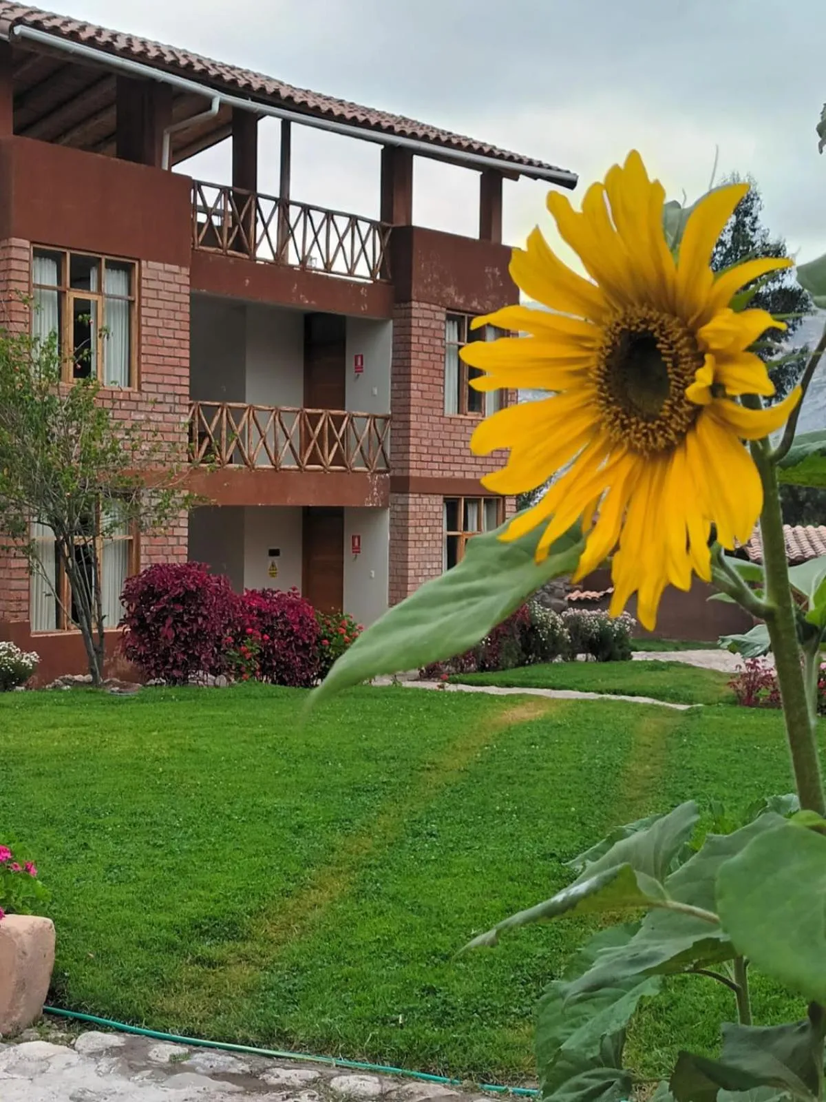 View (from property/room) in Allin Illary Eco Hospedaje