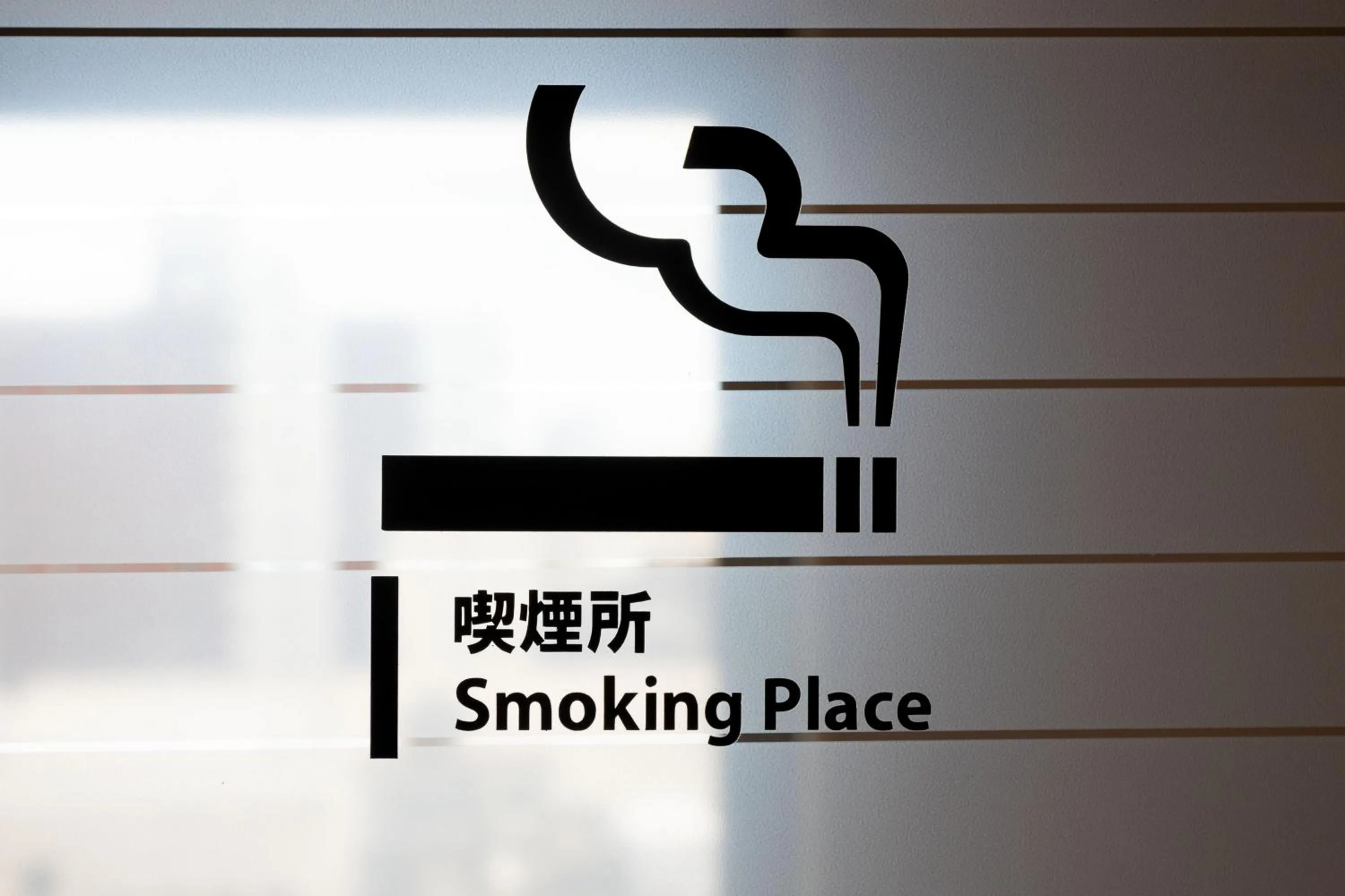 Area and facilities in Sun Days Kagoshima