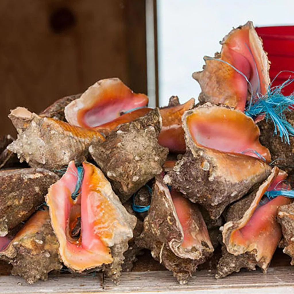 Food and drinks in St Francis Resort