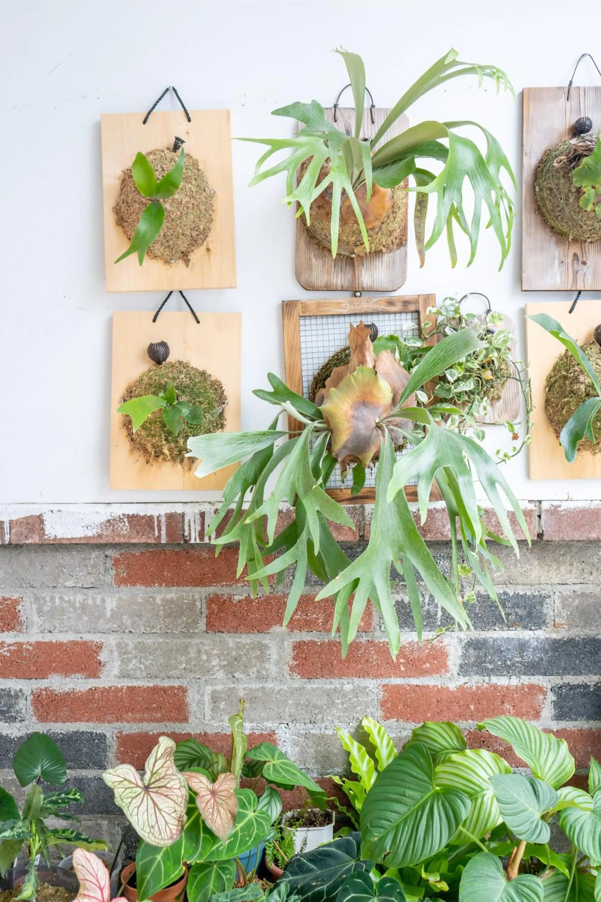 Property building in Utopia Hostel