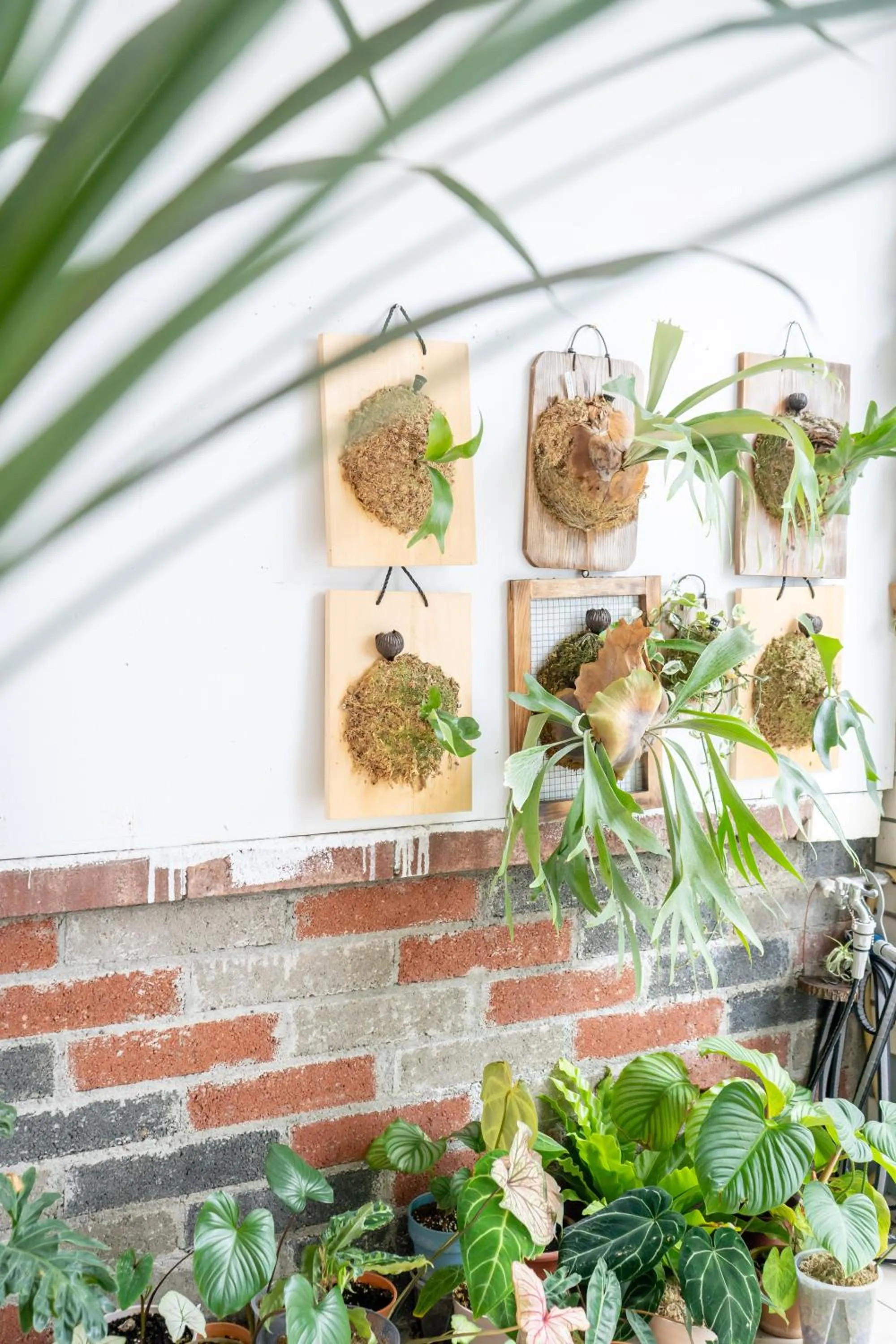 Property building in Utopia Hostel