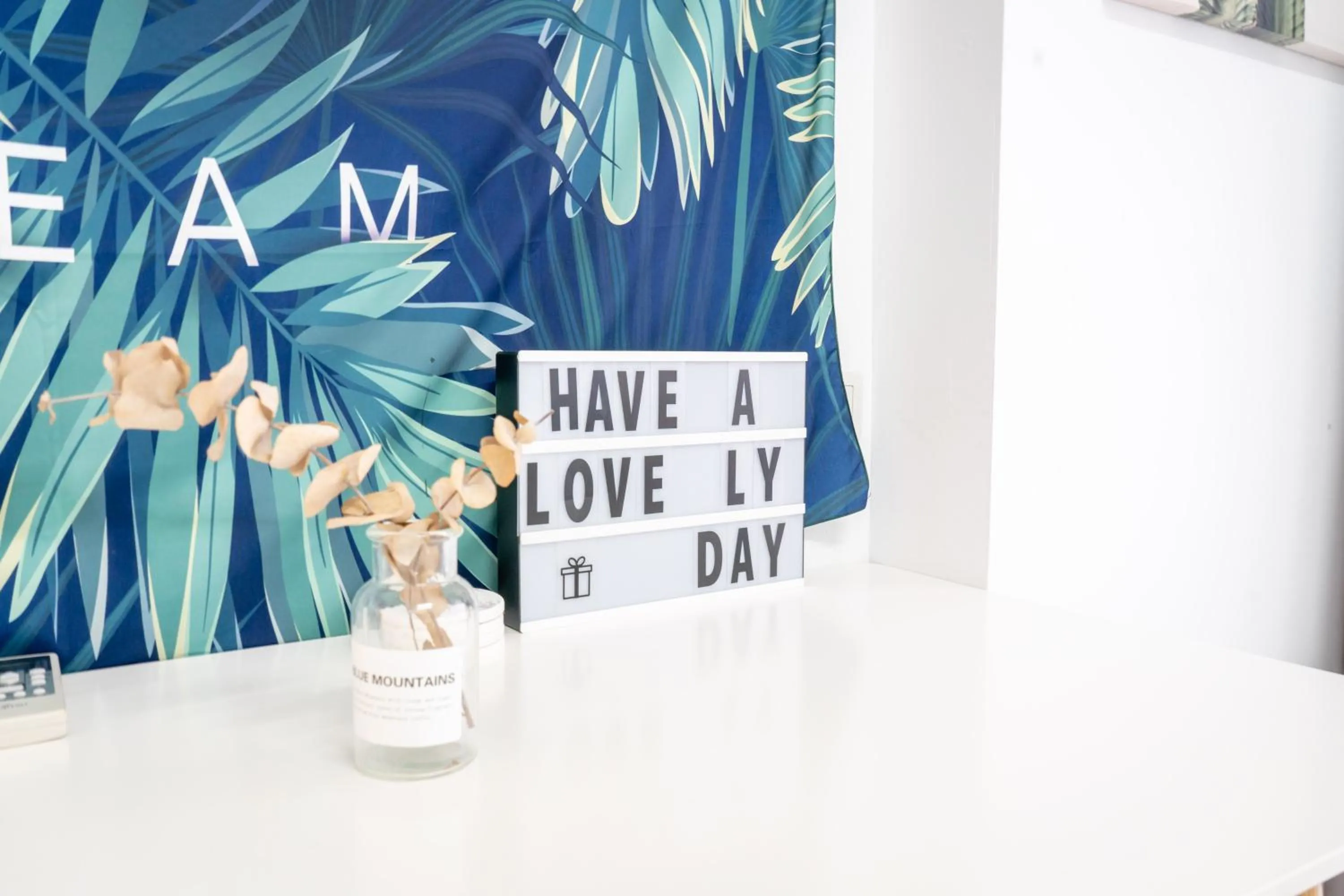 Photo of the whole room in Utopia Hostel