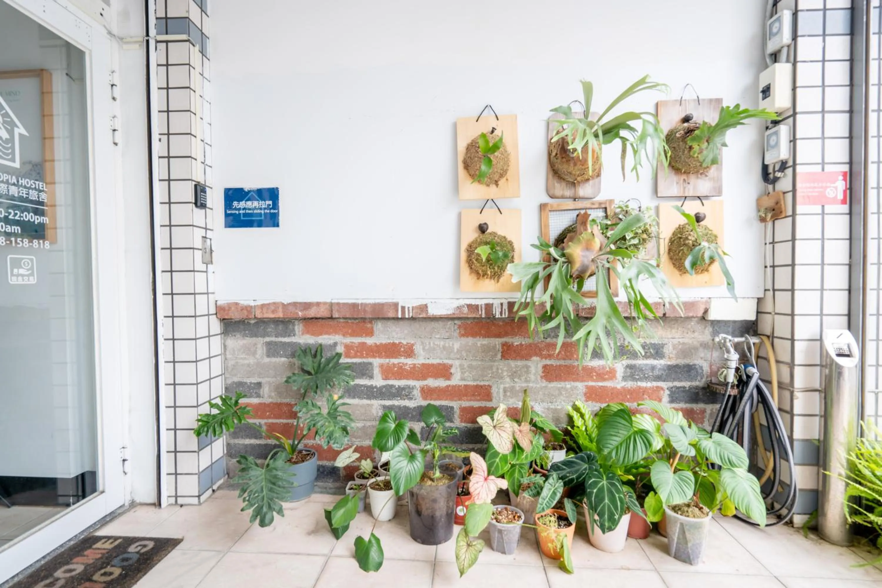 Garden view in Utopia Hostel