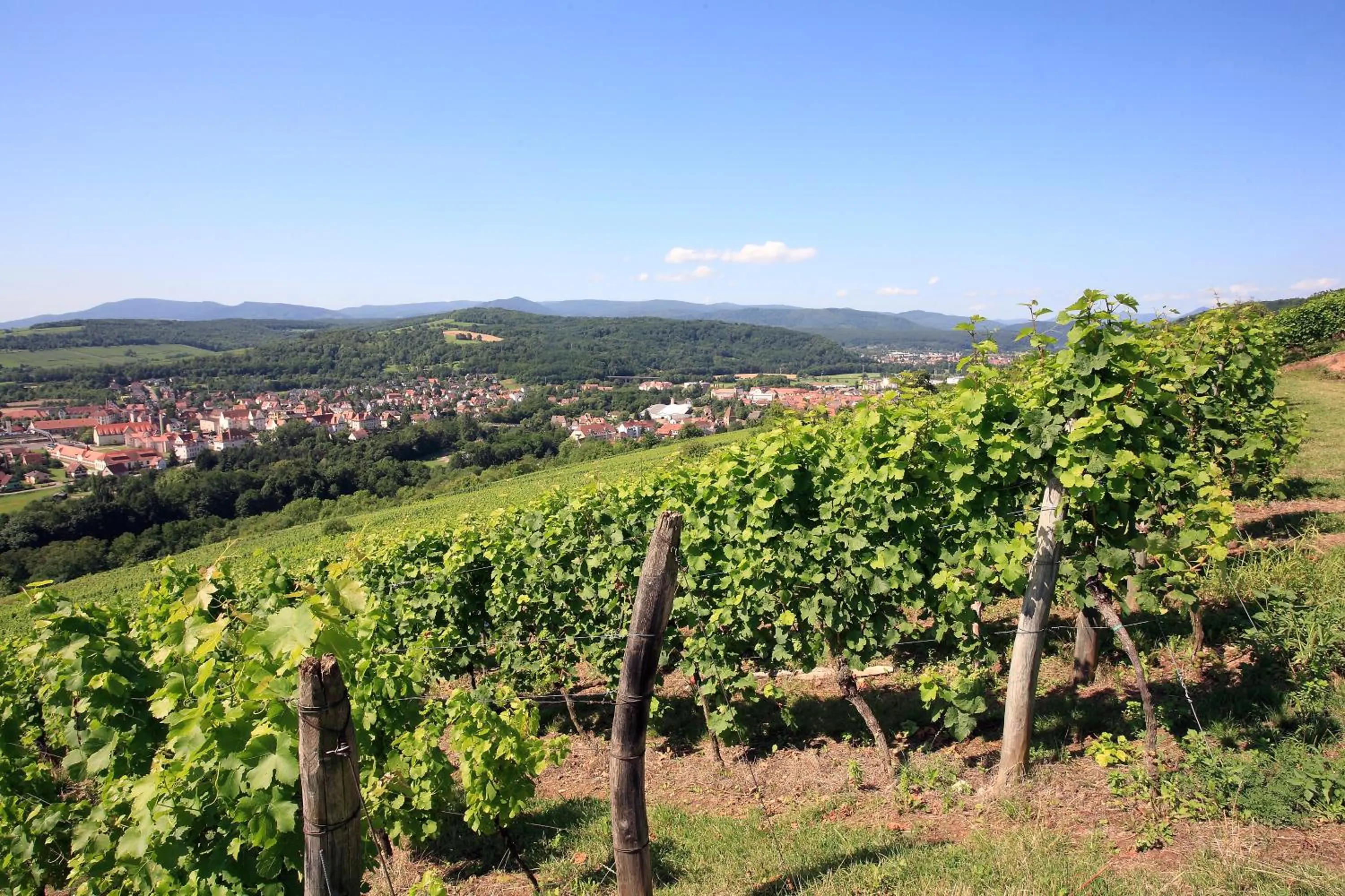 Nearby landmark in Logis Hotel L'Ours de Mutzig