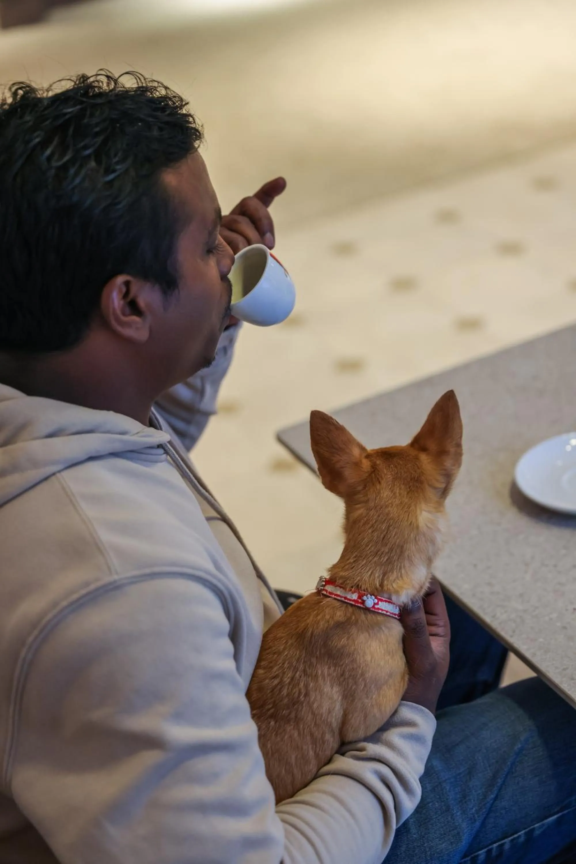 Pets in Logis Hotel L'Ours de Mutzig