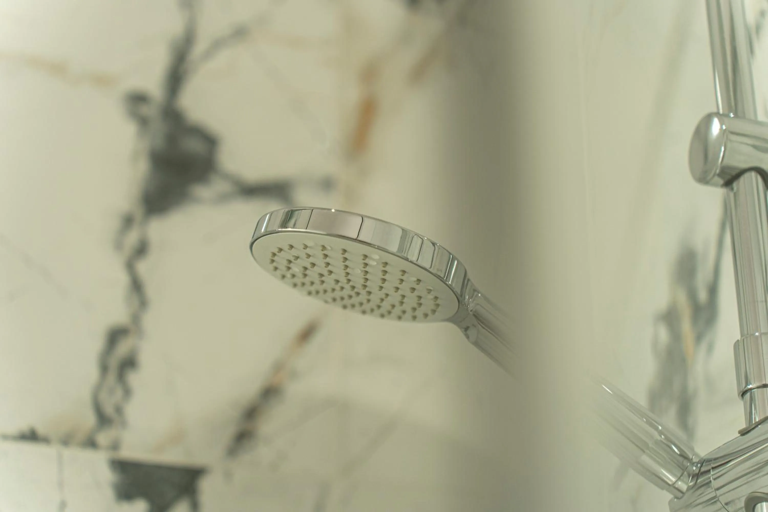 Shower in Elegant Apartments