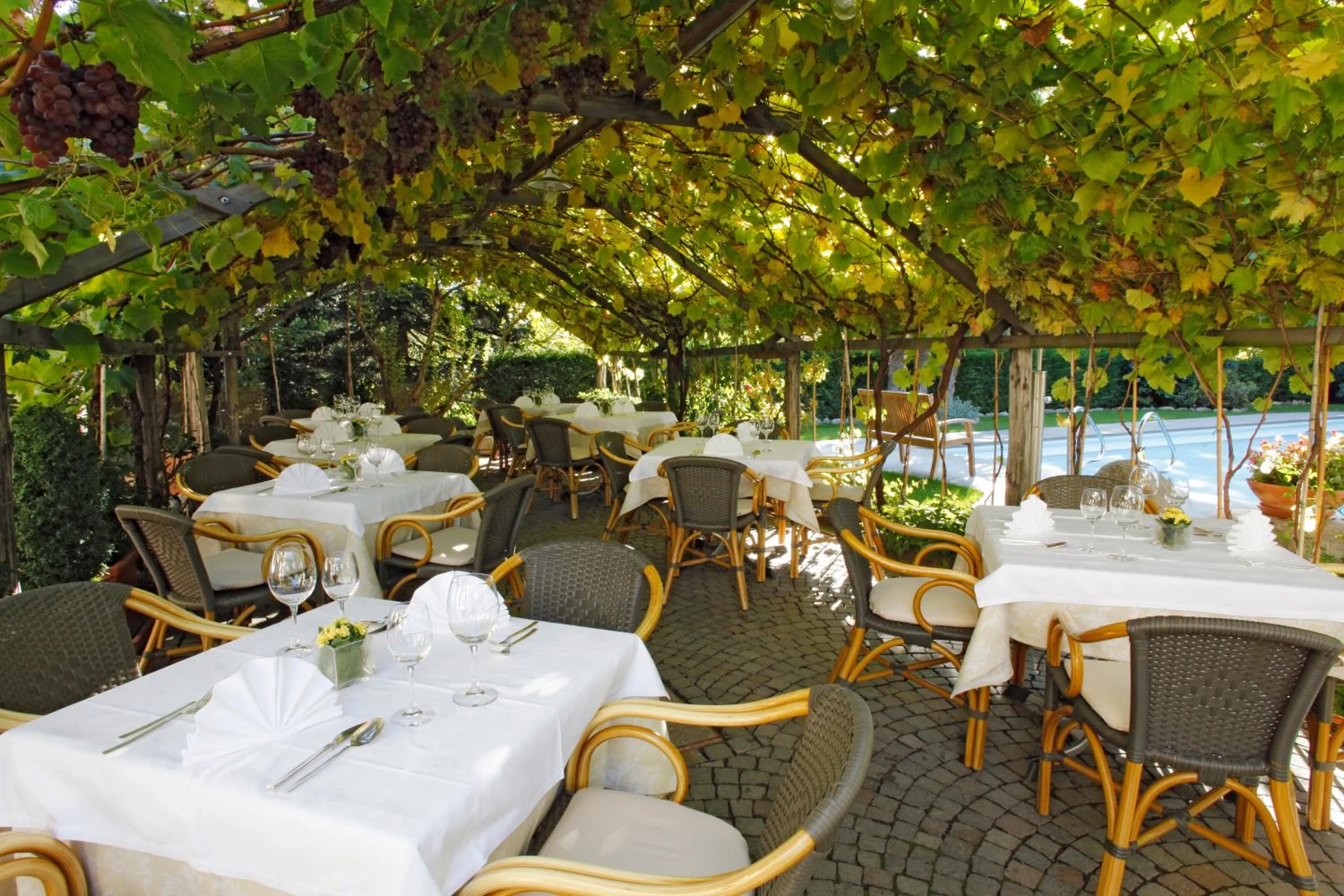 Garden in Parkhotel Tirolerhof